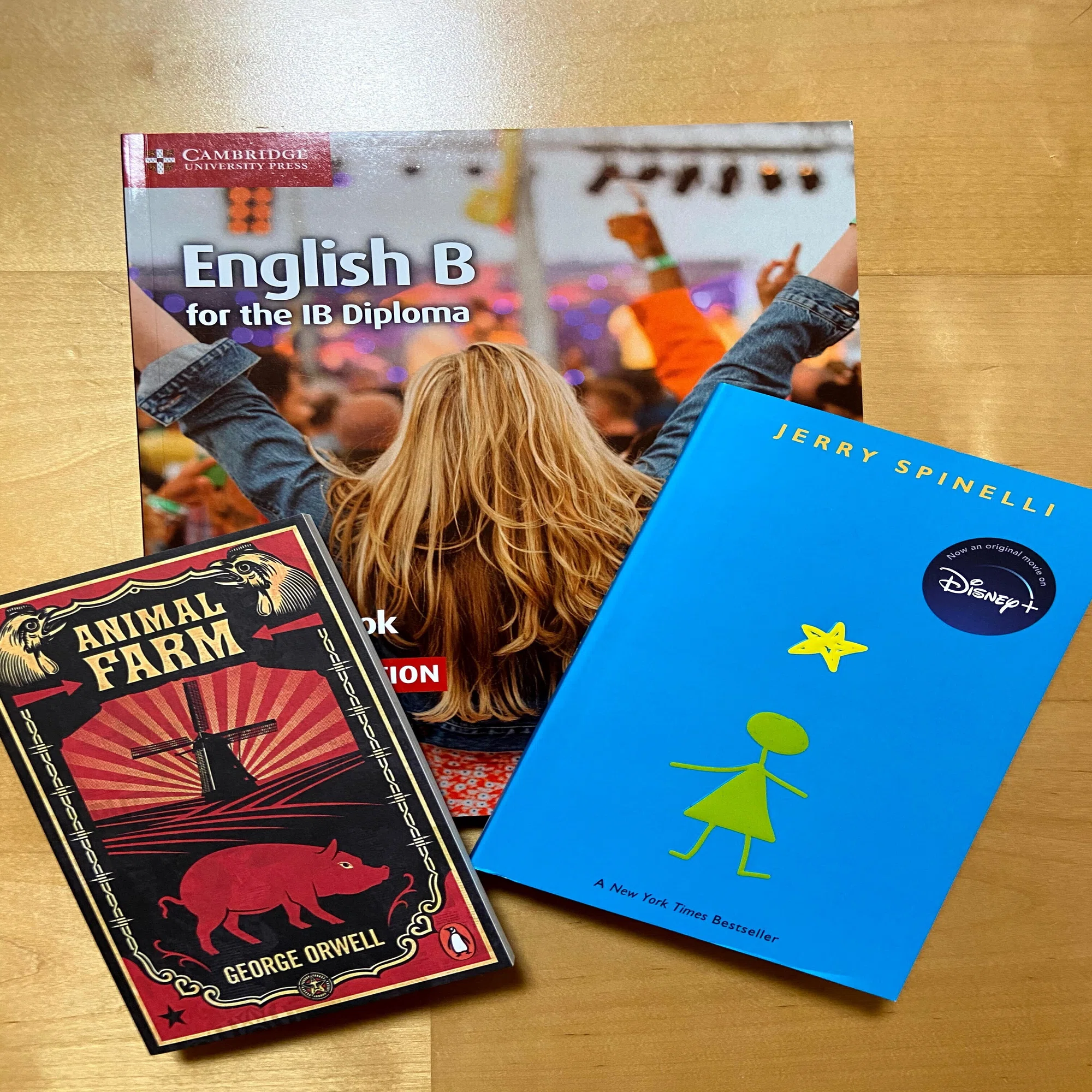 大苦戦した English B の授業/／｜国際バカロレア取得＆デンマーク留学 