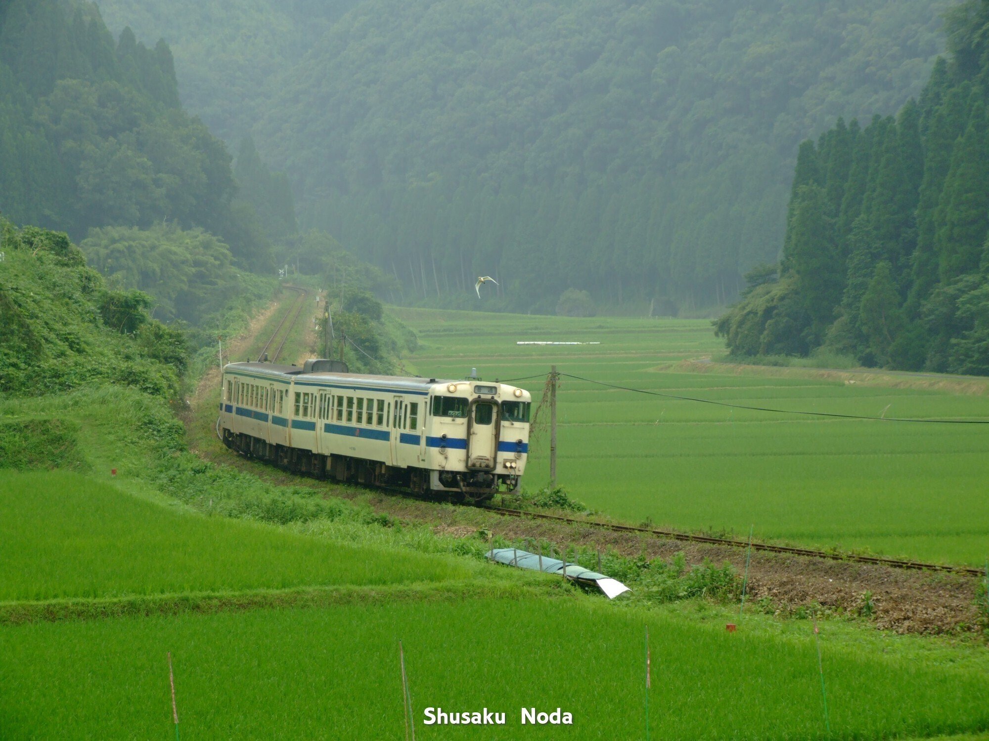 梅雨時しっとり鉄道旅-鉄道風景写真館｜野田周作