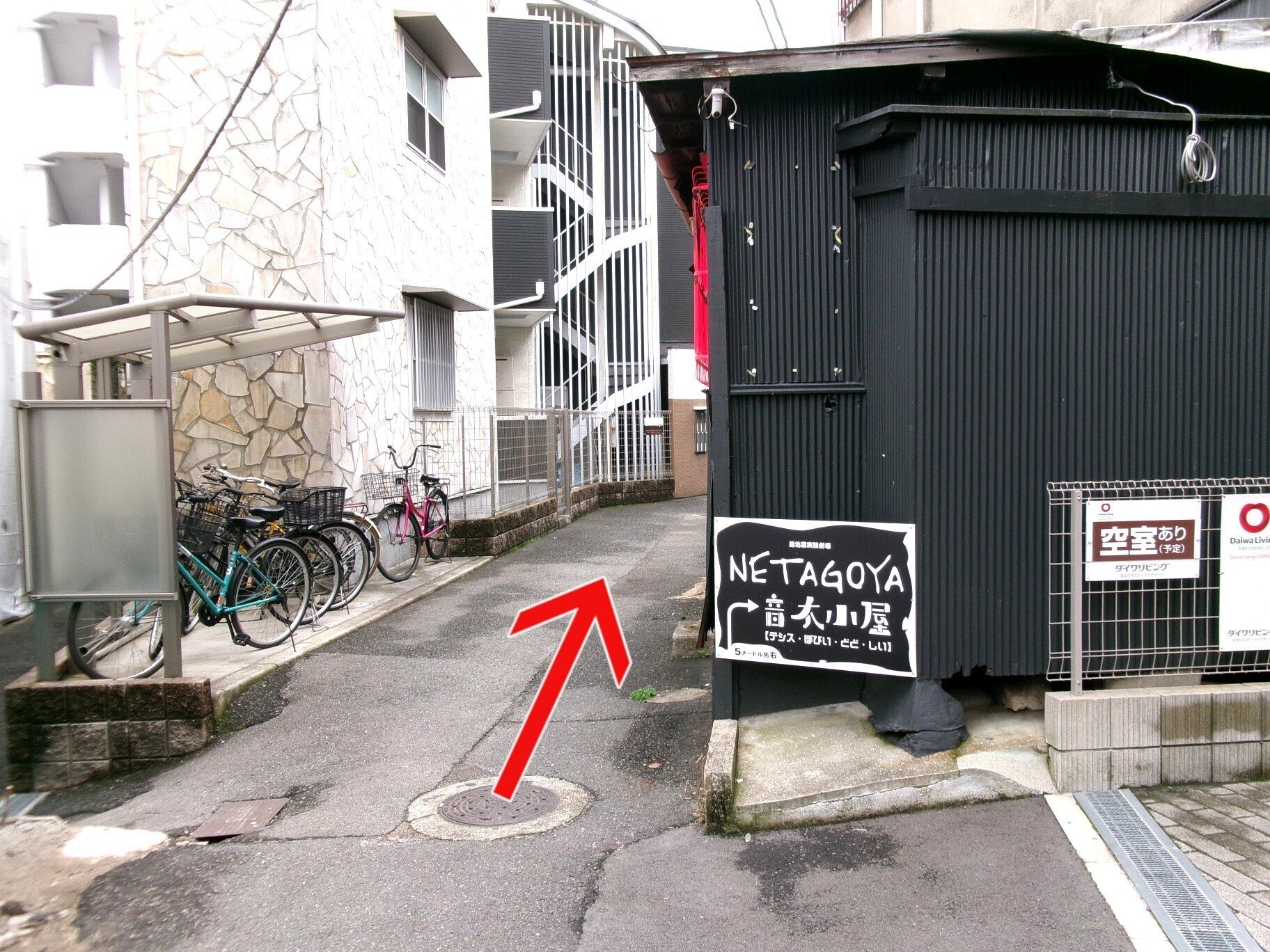 未使用　日向大和　布ポスター　ハンドタオル 892106793m.jpg