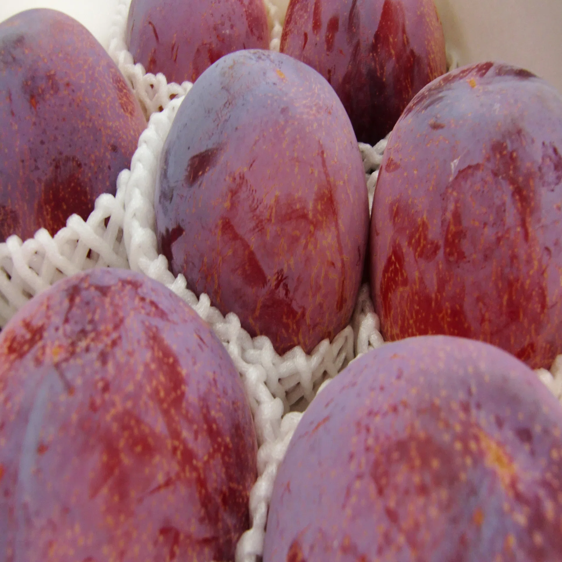 Peaches and plums, I want to eat them!｜JA全農 広報部【公式】