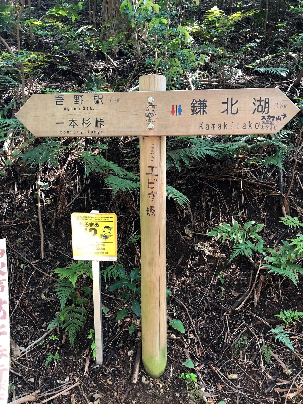 エビガ坂