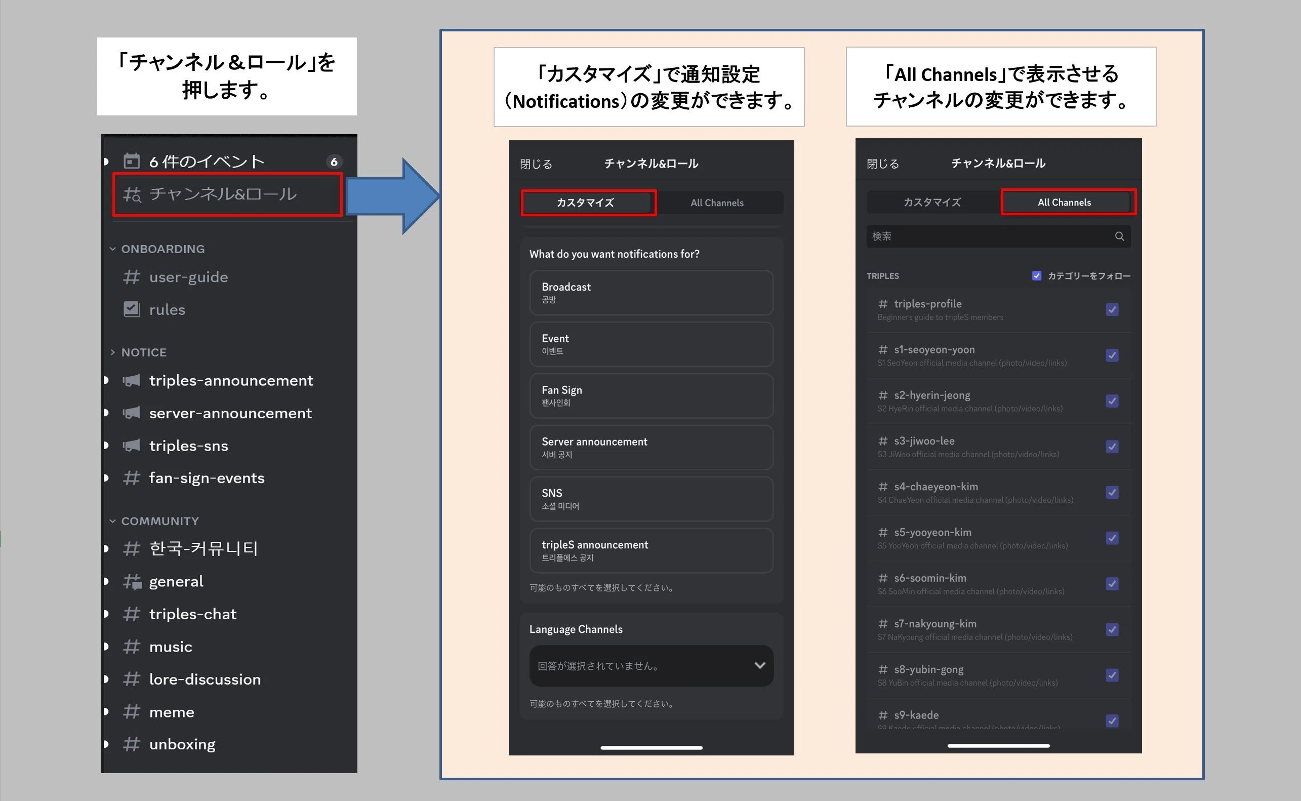 tripleSの公式コミュニティー、Discordとは？初めての入り方から使い方