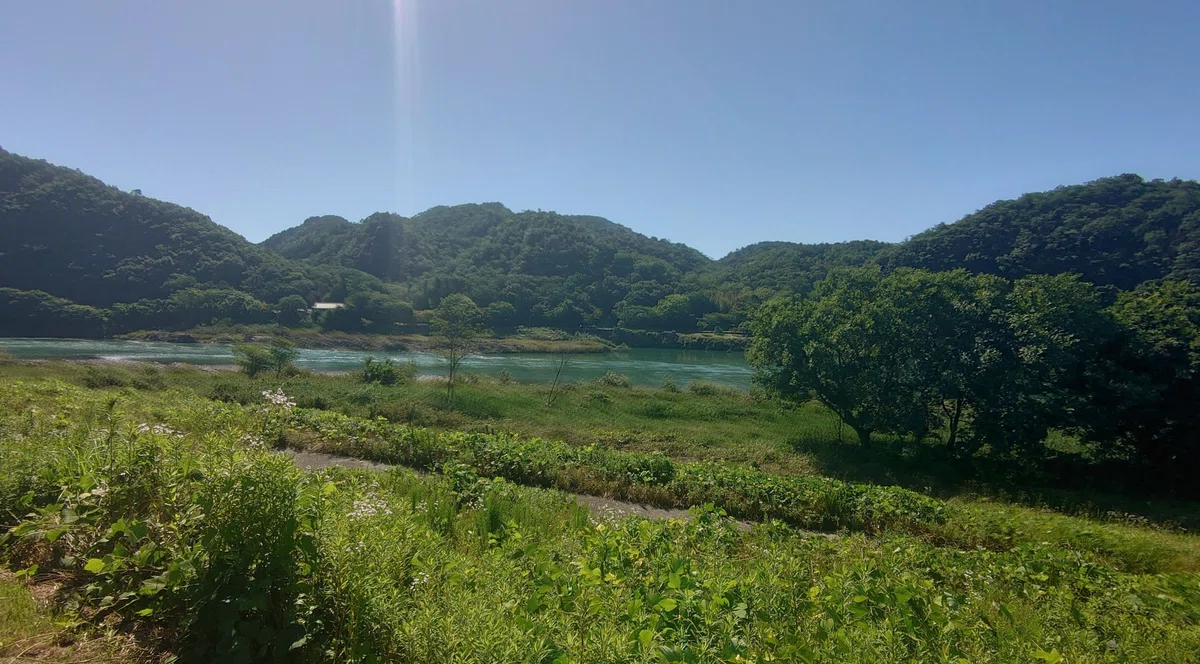 画像