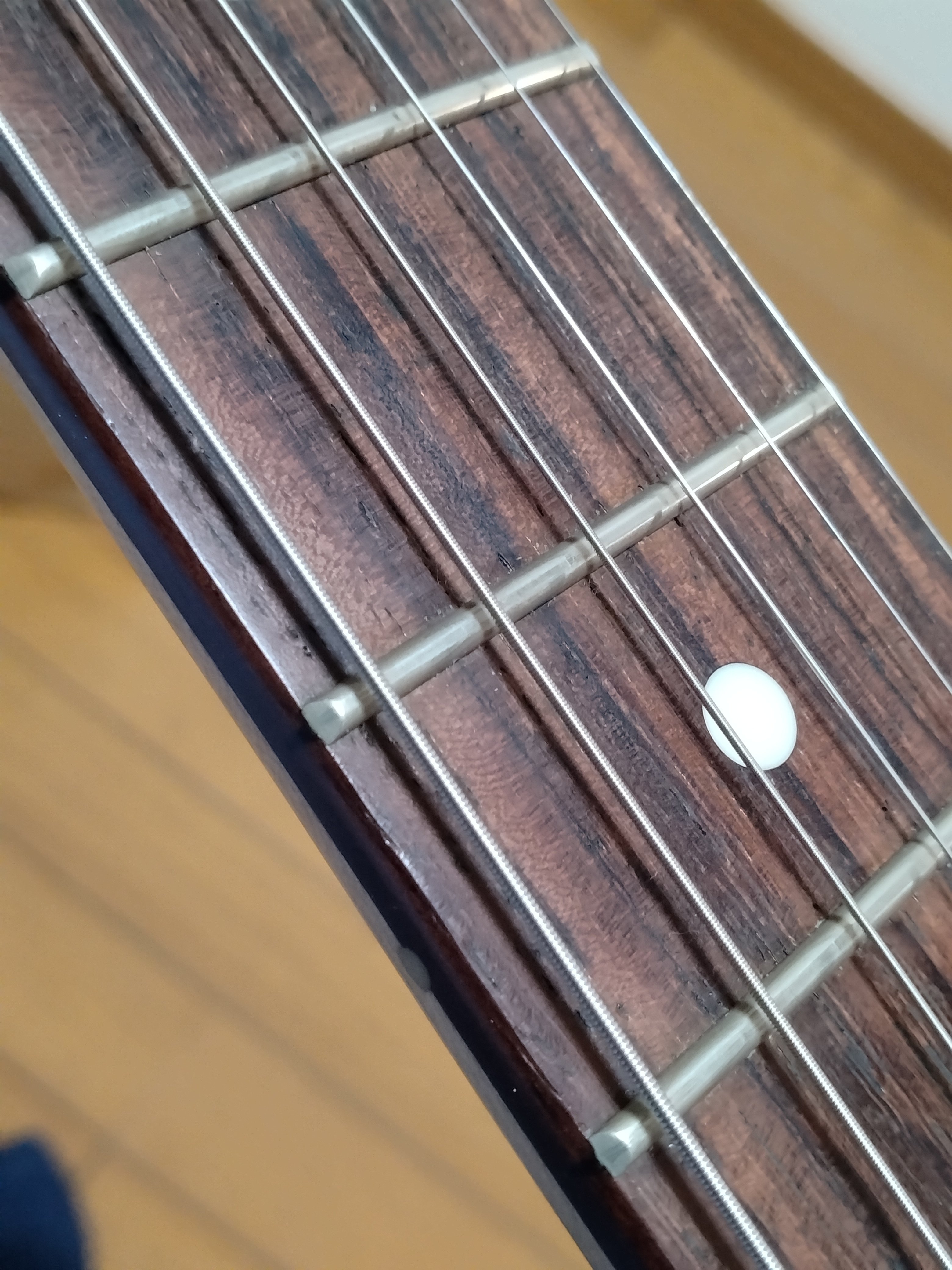 最高のテレキャスター｜本田あいる