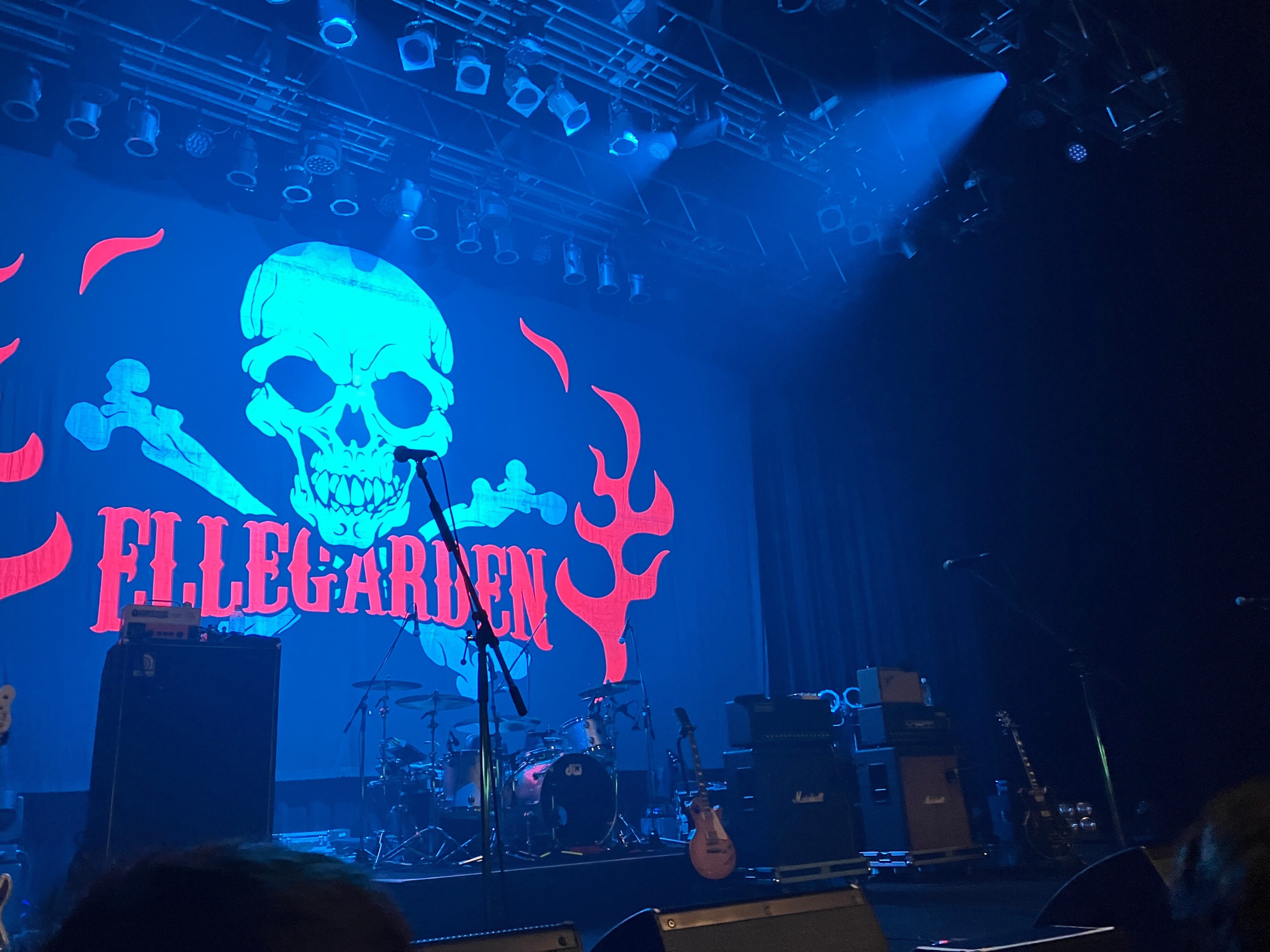 ELLEGARDEN エルレ 復活ツアー ELLEGARDEN、復活！10年ぶりのライブツアーを発表 | ゴリミー