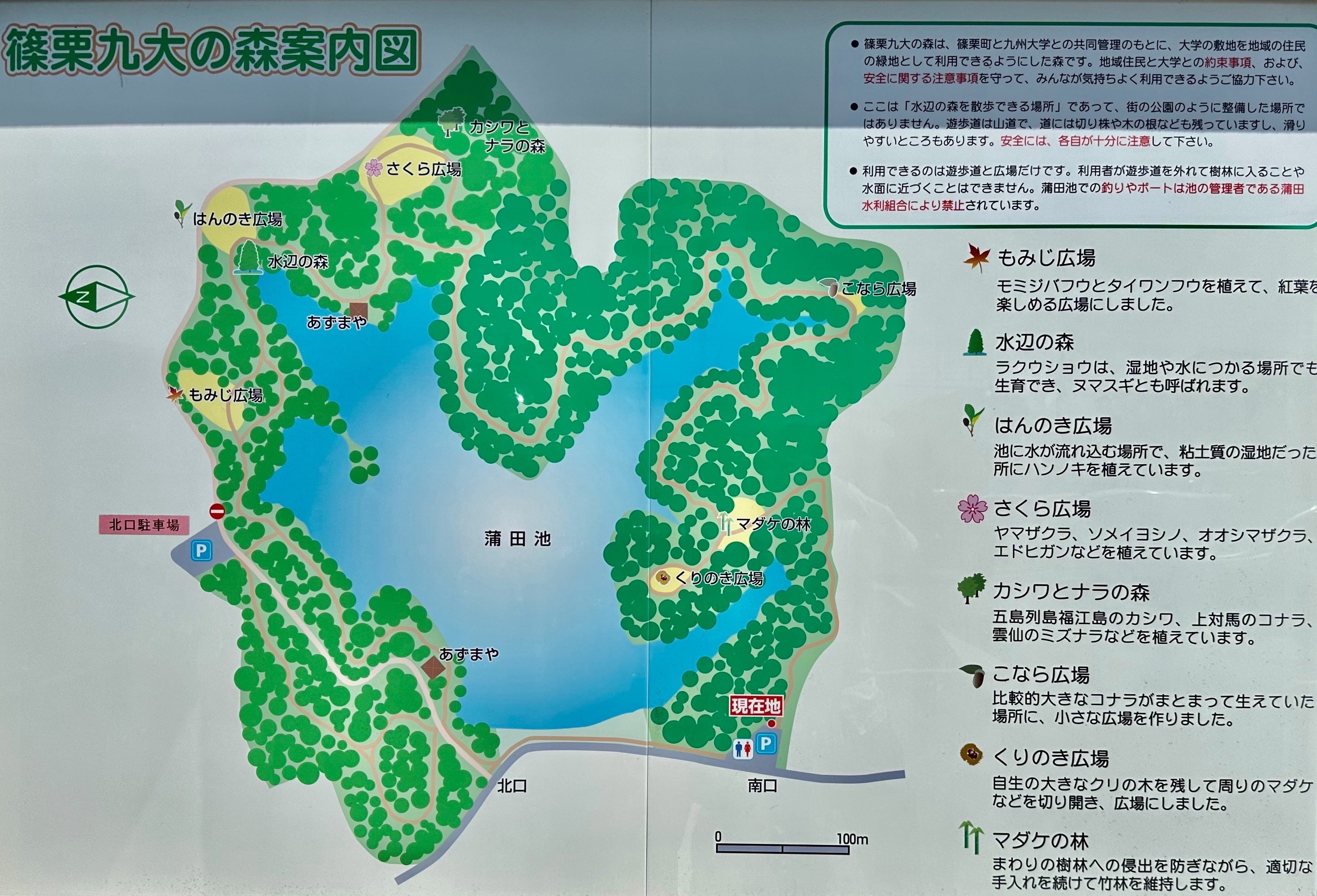 緑豊かな篠栗九大の森を歩く｜sanchi