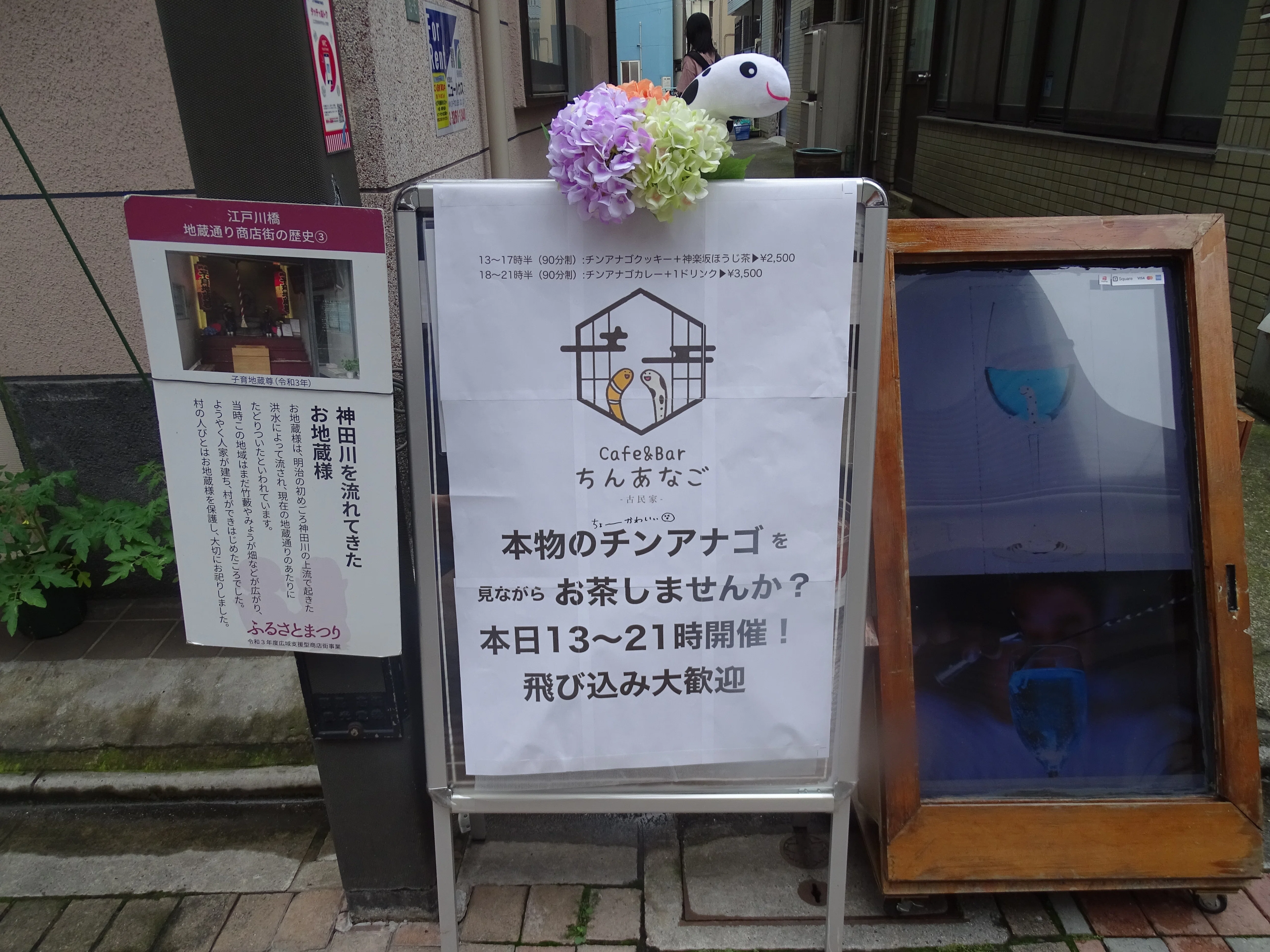 ZASO:163】東京都 #CafeAndBarちんあなご神楽坂｜ZASOちゃんねる