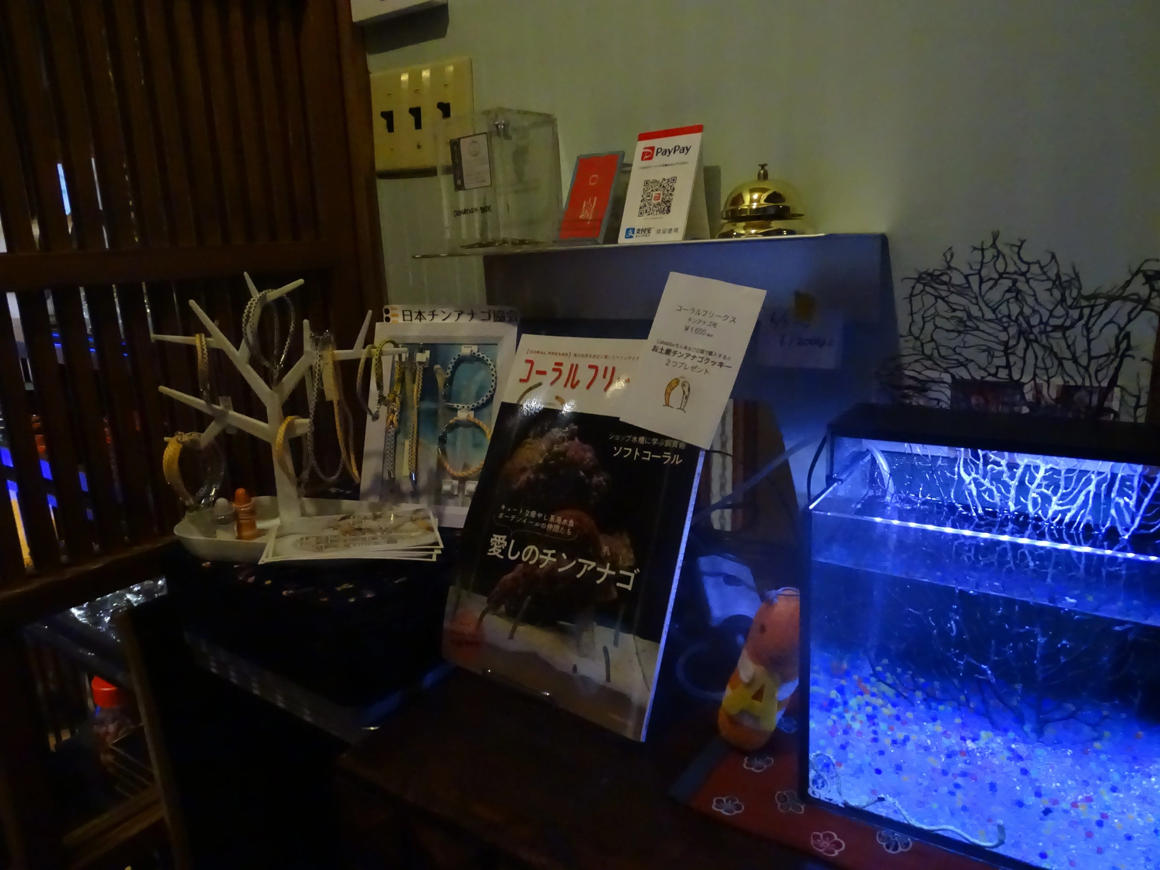 ZASO:163】東京都 #CafeAndBarちんあなご神楽坂｜ZASOちゃんねる