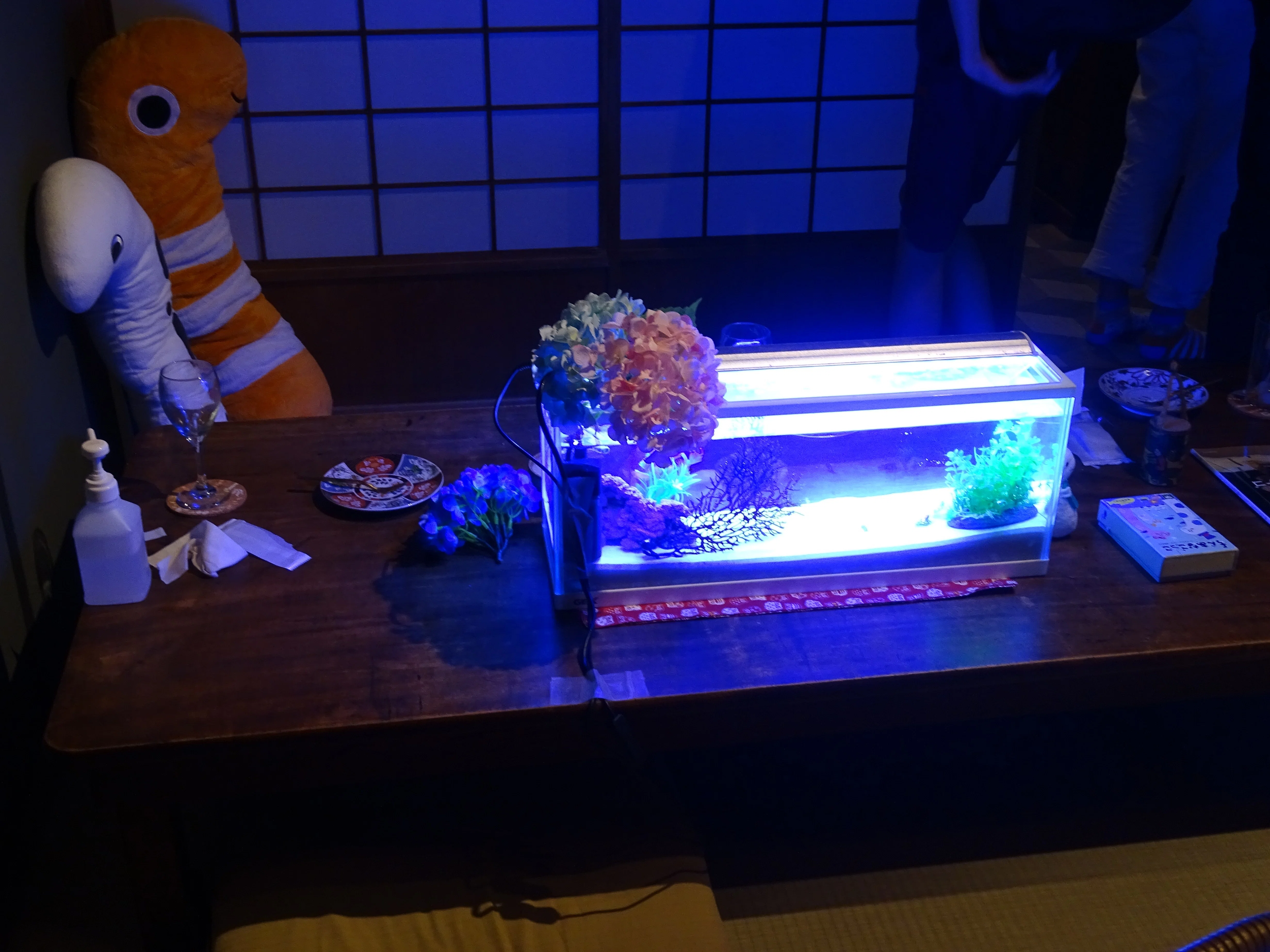 ZASO:163】東京都 #CafeAndBarちんあなご神楽坂｜ZASOちゃんねる