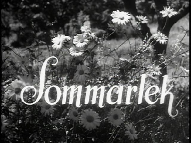 廃盤希少　夏の遊び　('51スウェーデン) ベルイマン監督作品 Amazon.co.jp: 夏の遊び [DVD] : マイ=ブリット・ニルソン
