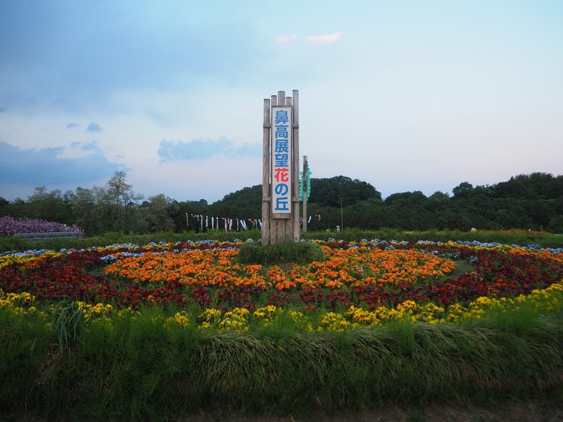 群馬県高崎市にある鼻高展望花の丘。