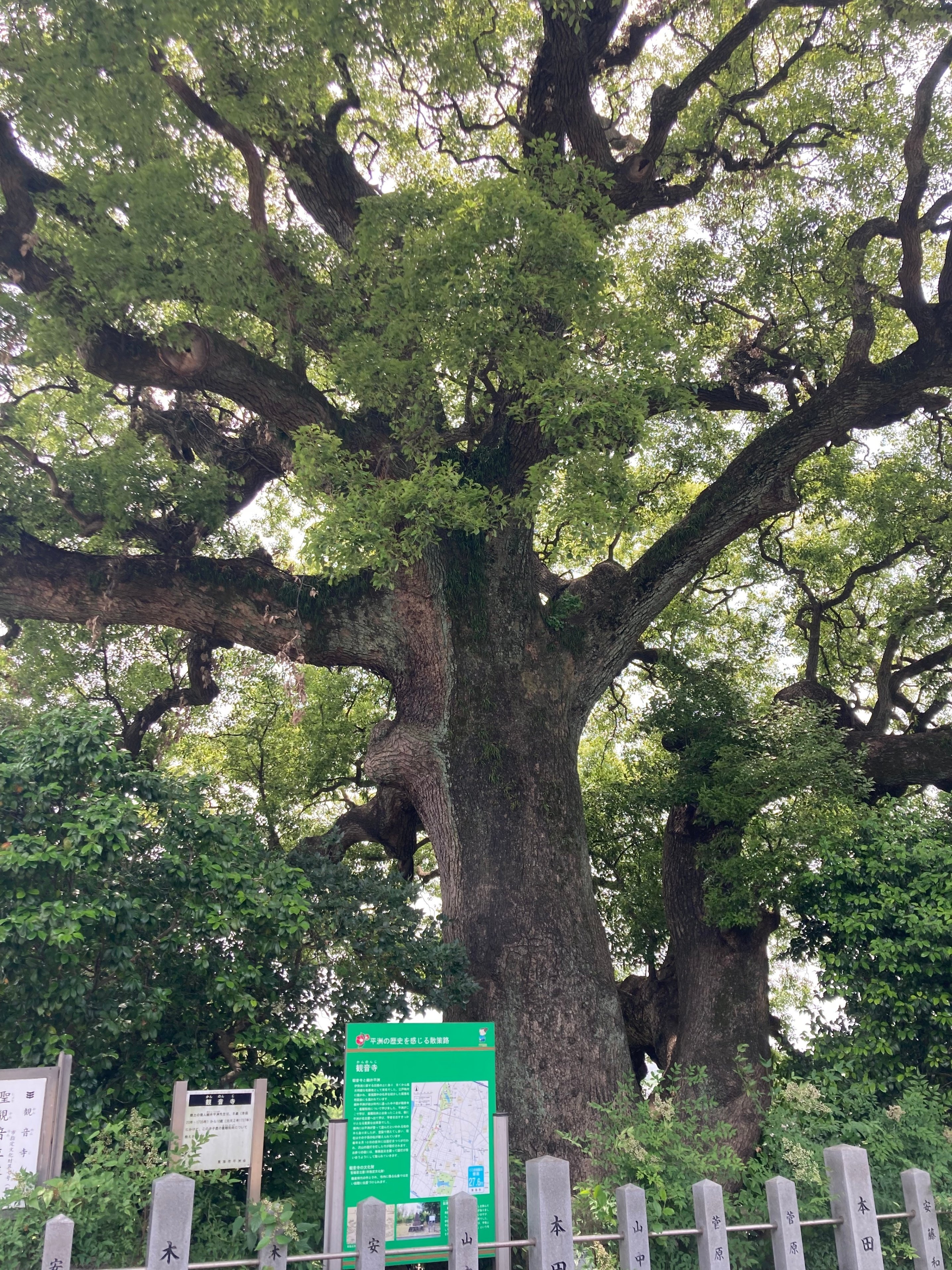 細井平洲ゆかりの地を訪ねて【後編】｜SatoSato