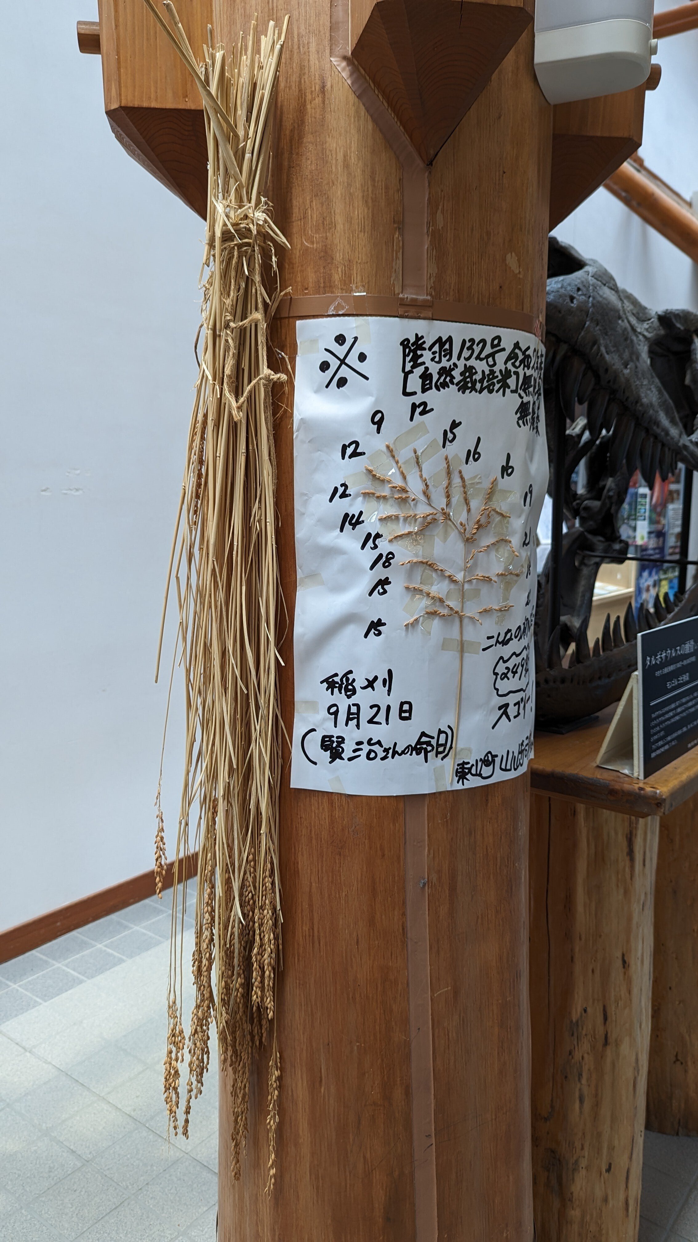 第22回 石と賢治のミュージアム再訪 稲と石灰編｜黒曜石