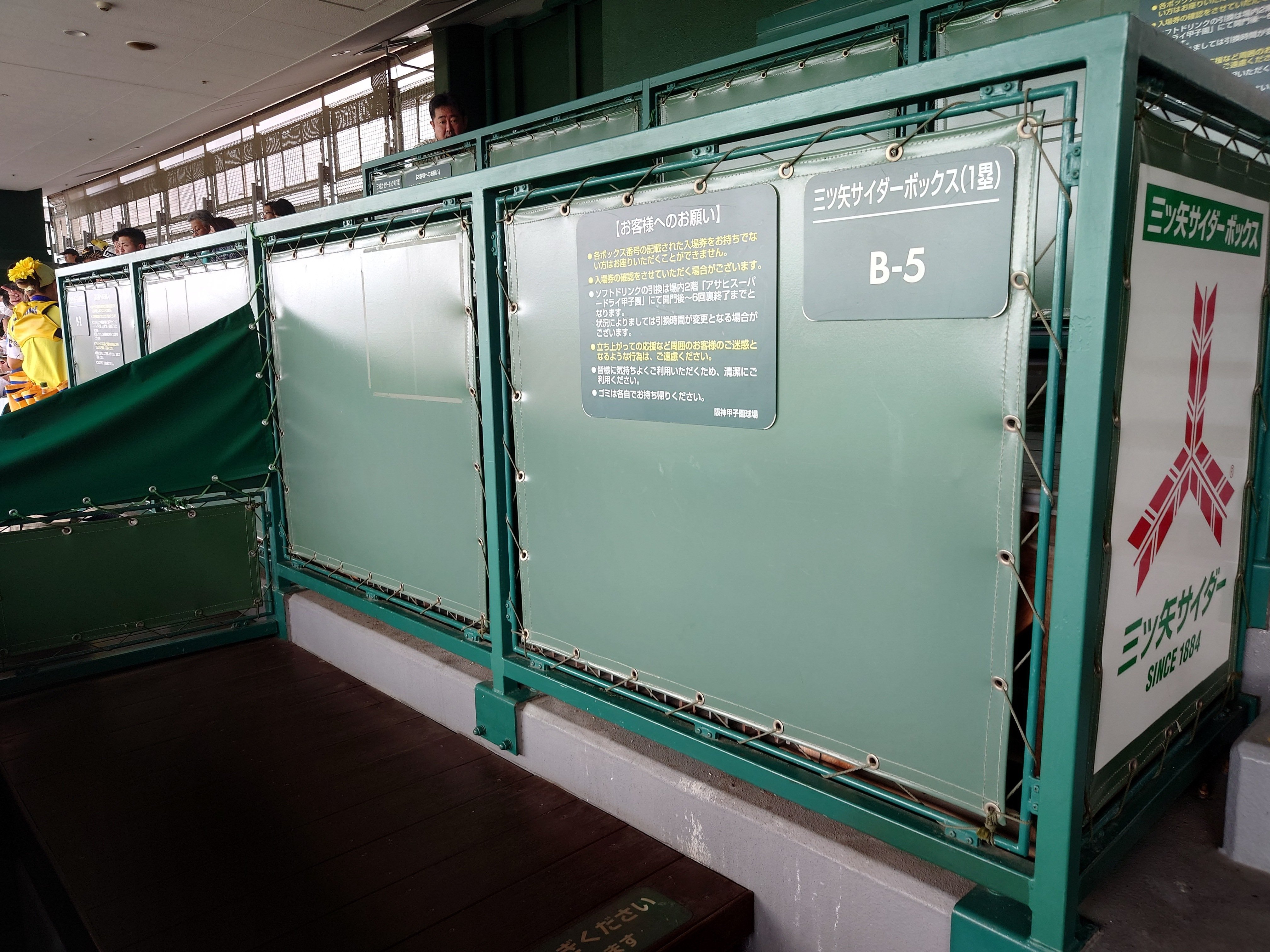 甲子園 三ツ矢サイダーボックス 先行抽選販売券 （甲子園球場