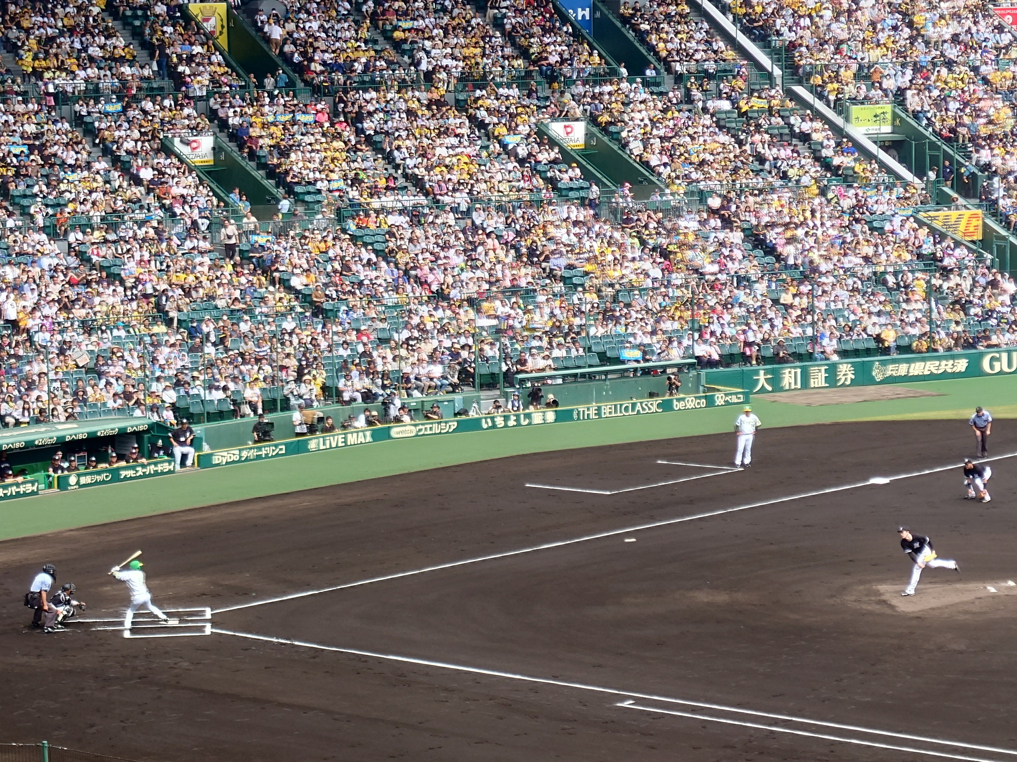 阪神甲子園球場 2023/6 阪神 vs パ・リーグ 1塁側 三ツ矢 阪神甲子園球場 2023/6 阪神 vs パ・リーグ 1塁側 三ツ矢
