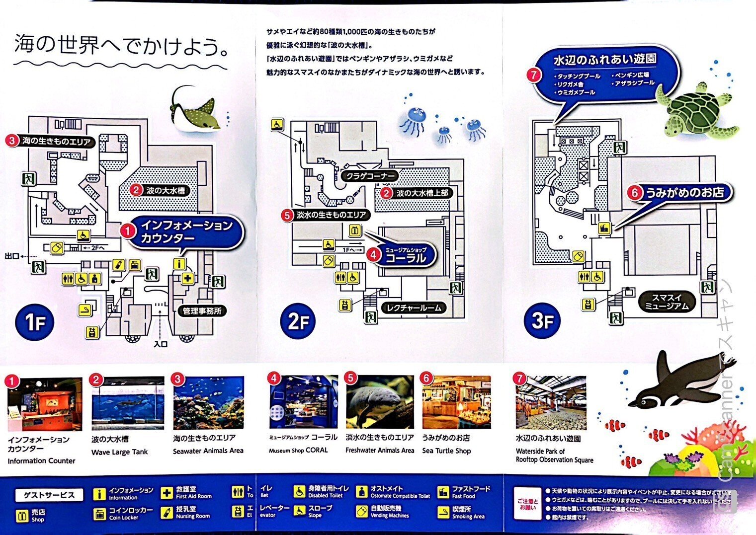 レポ#46 須磨海浜水族園｜haru