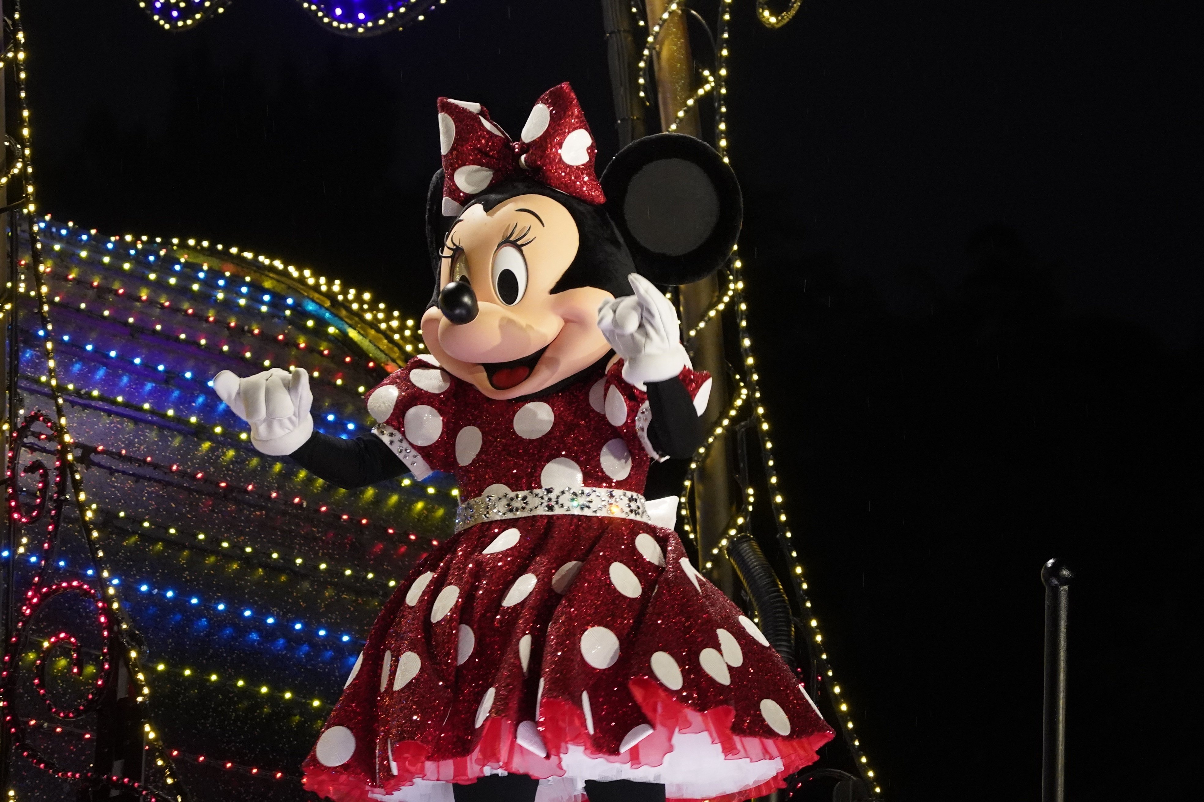 ✨高速連写撮影に✨Canon EOS 40D✨ダブルレンズ✨ディズニーパレードに 40周年の東京ディズニーランドで全然関係ない写真ばかり撮った