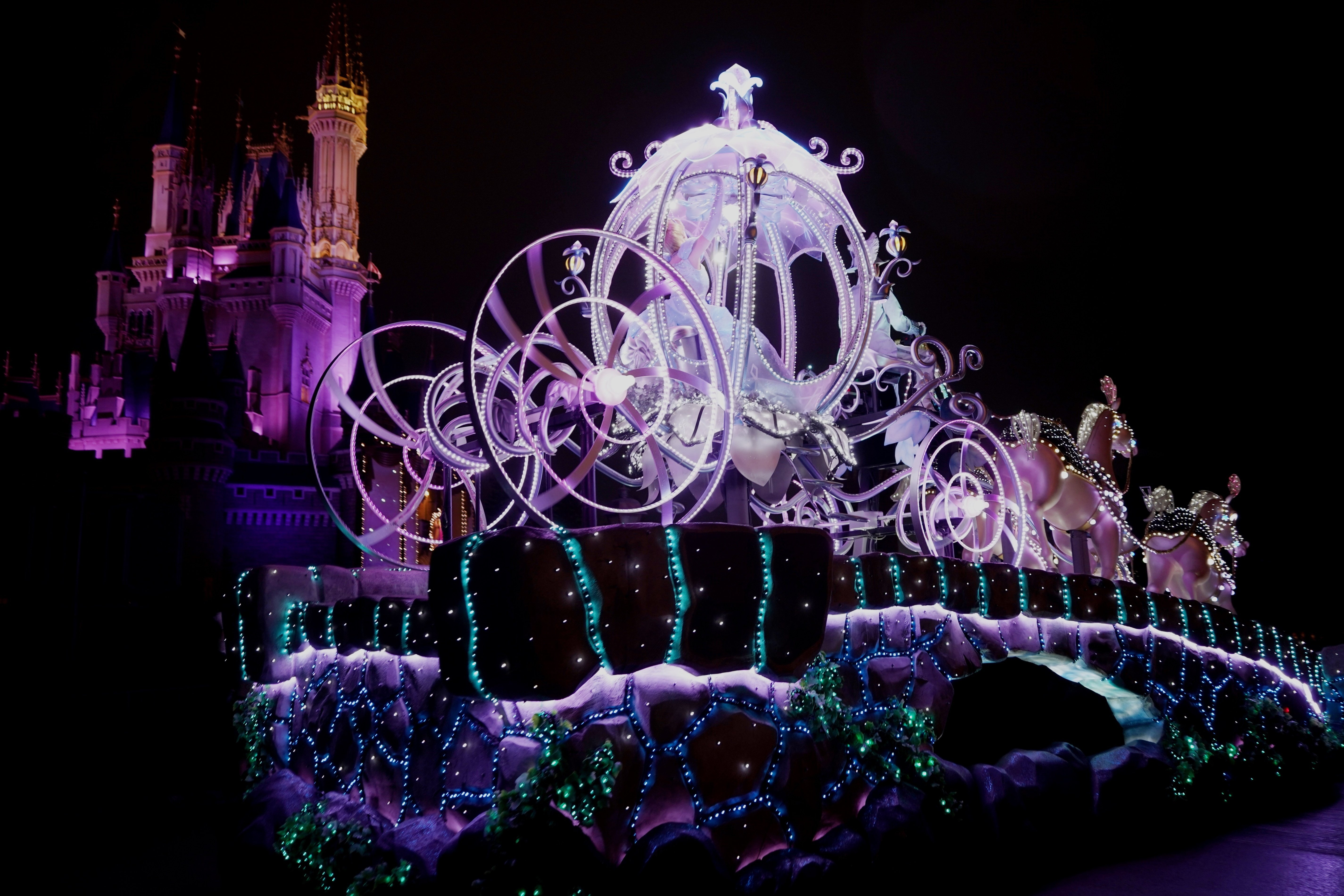 40周年の東京ディズニーランドで全然関係ない写真ばかり撮った