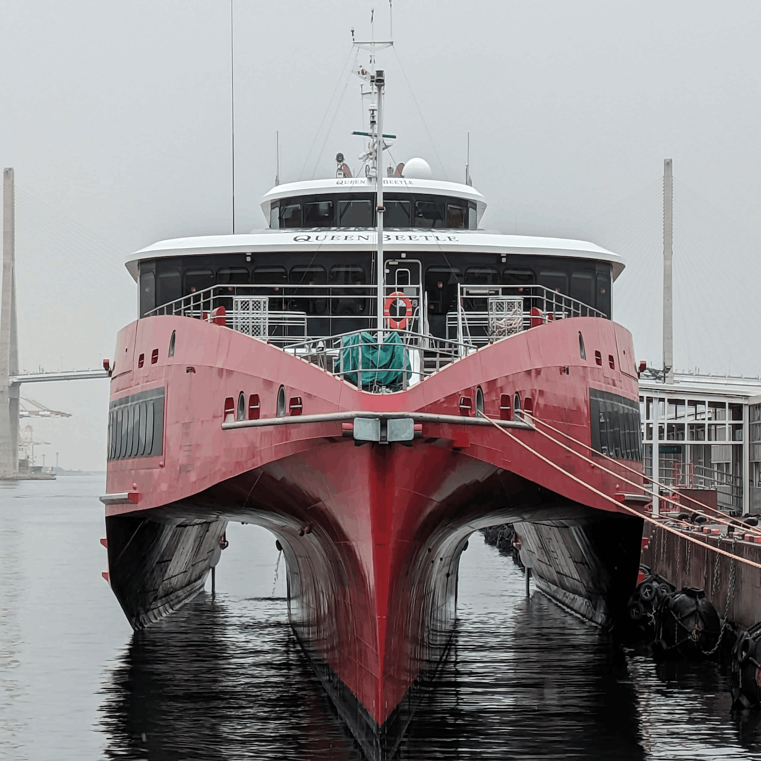 船に乗るため釜山へ④クイーンビートル｜karasu