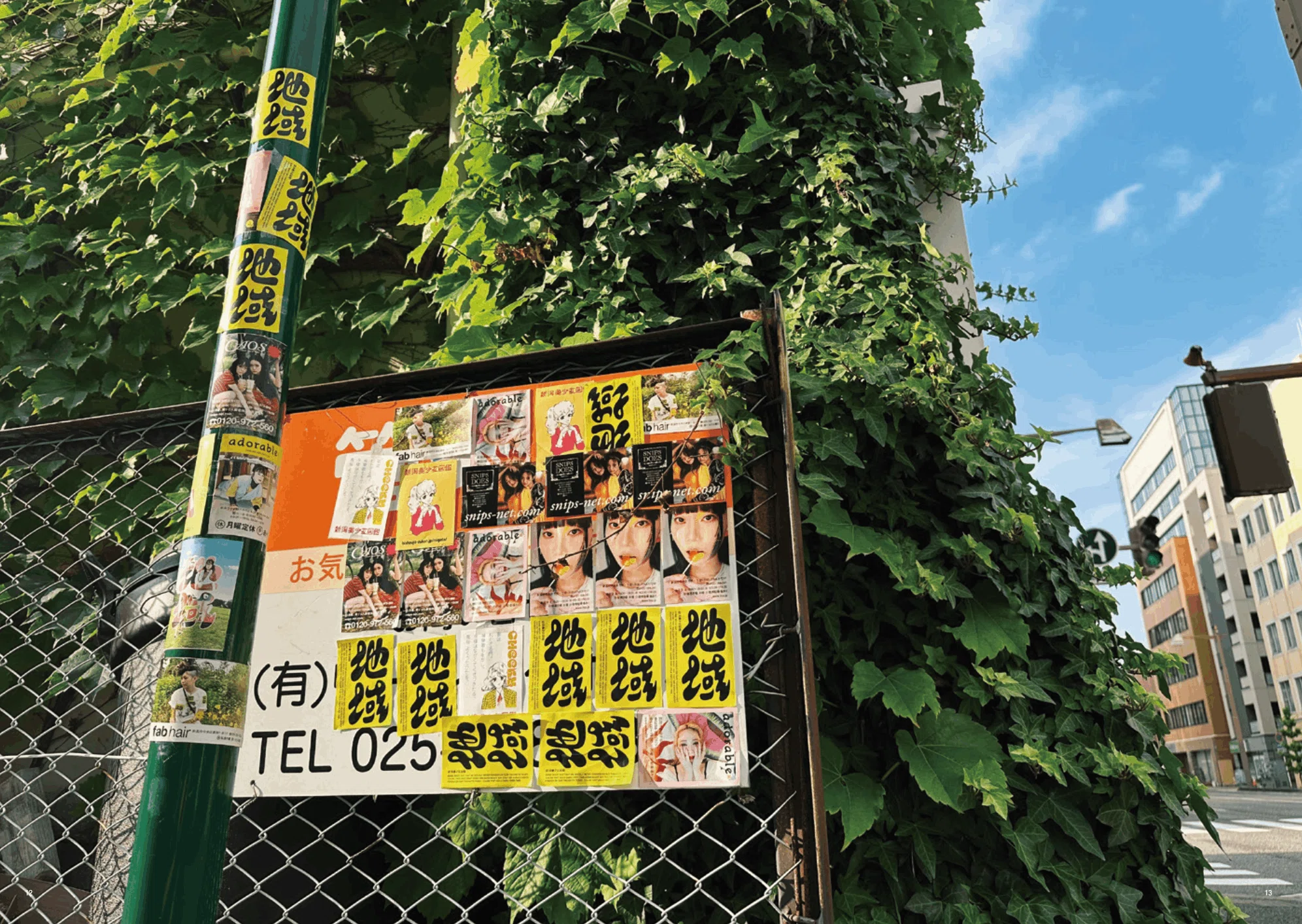 2023年6月20日発行『CHEEKY』｜地域新潟（CHEEKY NIIGATA）