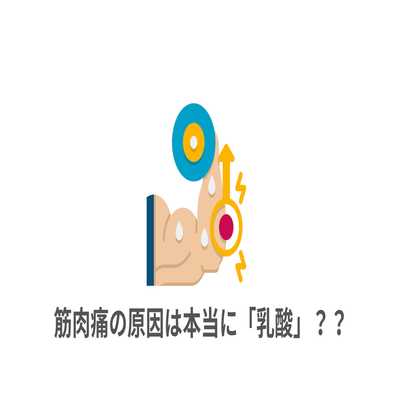 筋肉痛ってなんなの？の最新科学｜Nピラティス！吉田直紀