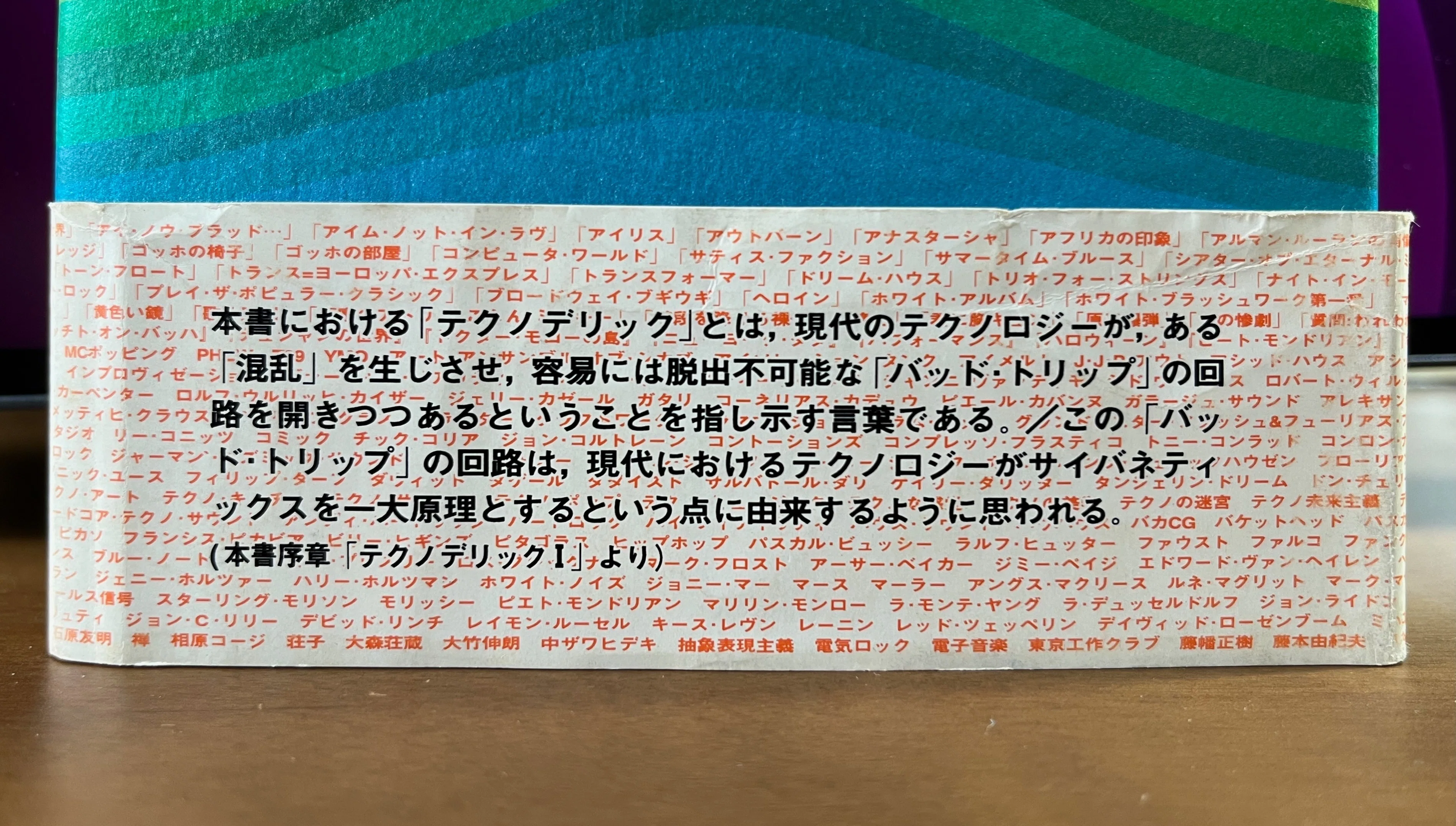 読書感想文〉 『テクノデリック—鏡でいっぱいの世界』 椹木野衣 集英社
