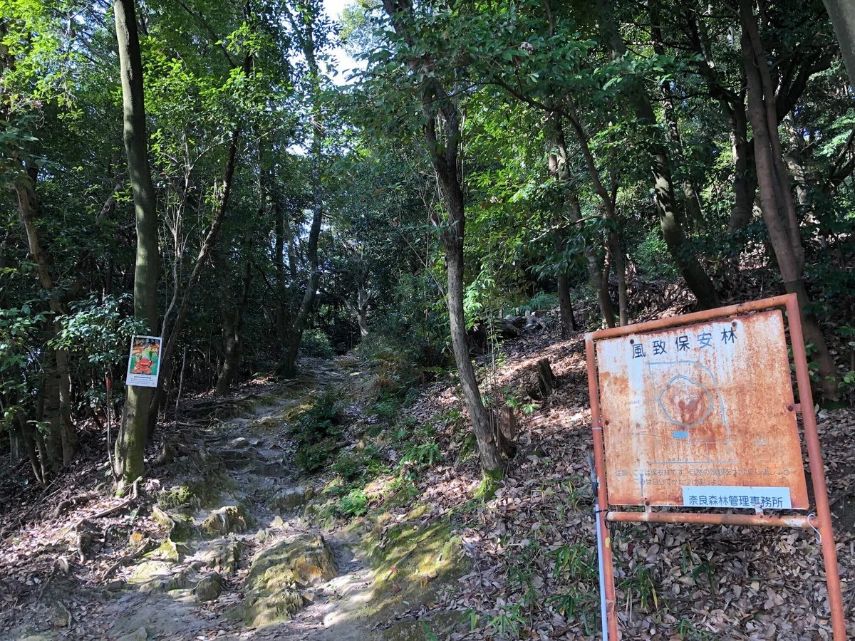 耳成山山頂への道