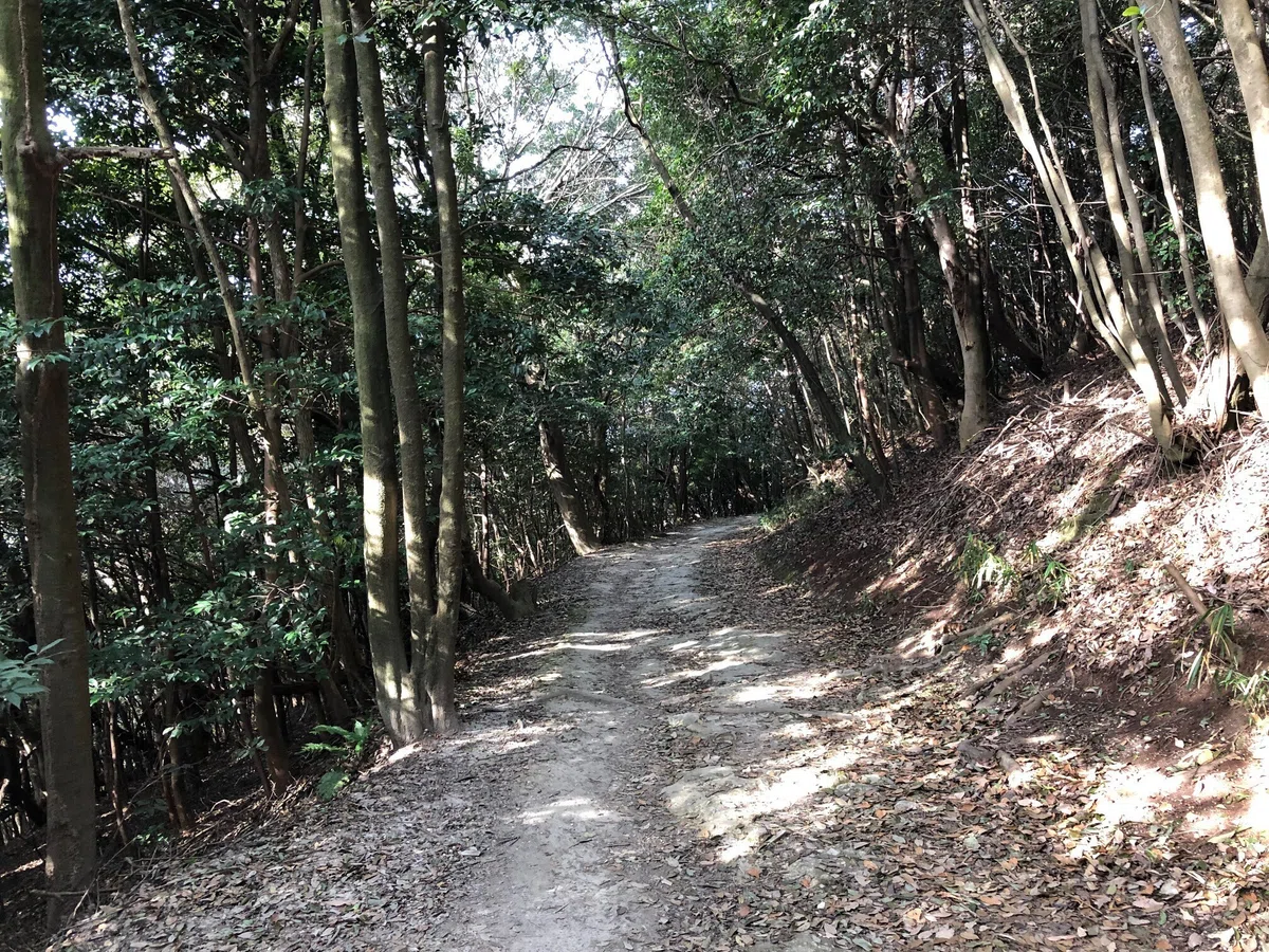 耳成山の巻き道