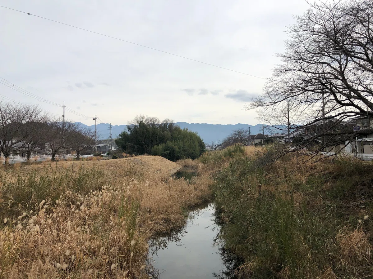 飛鳥川
