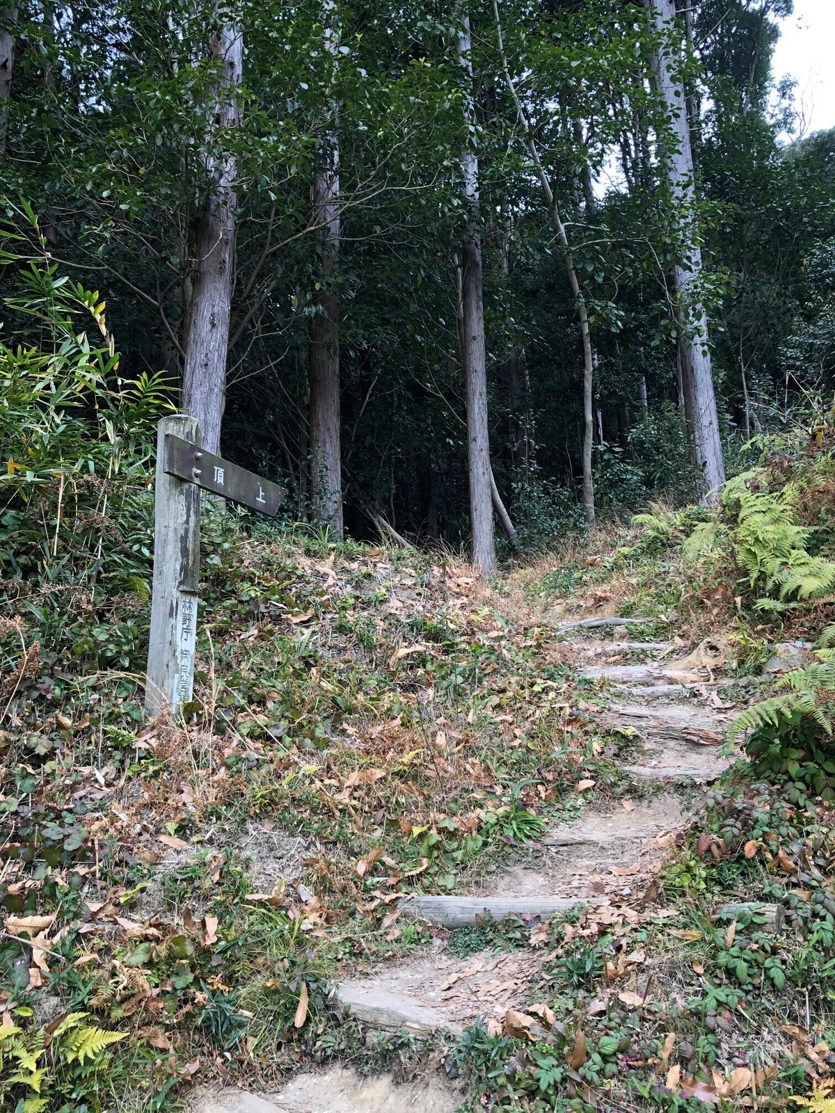 畝傍山への直登ルート