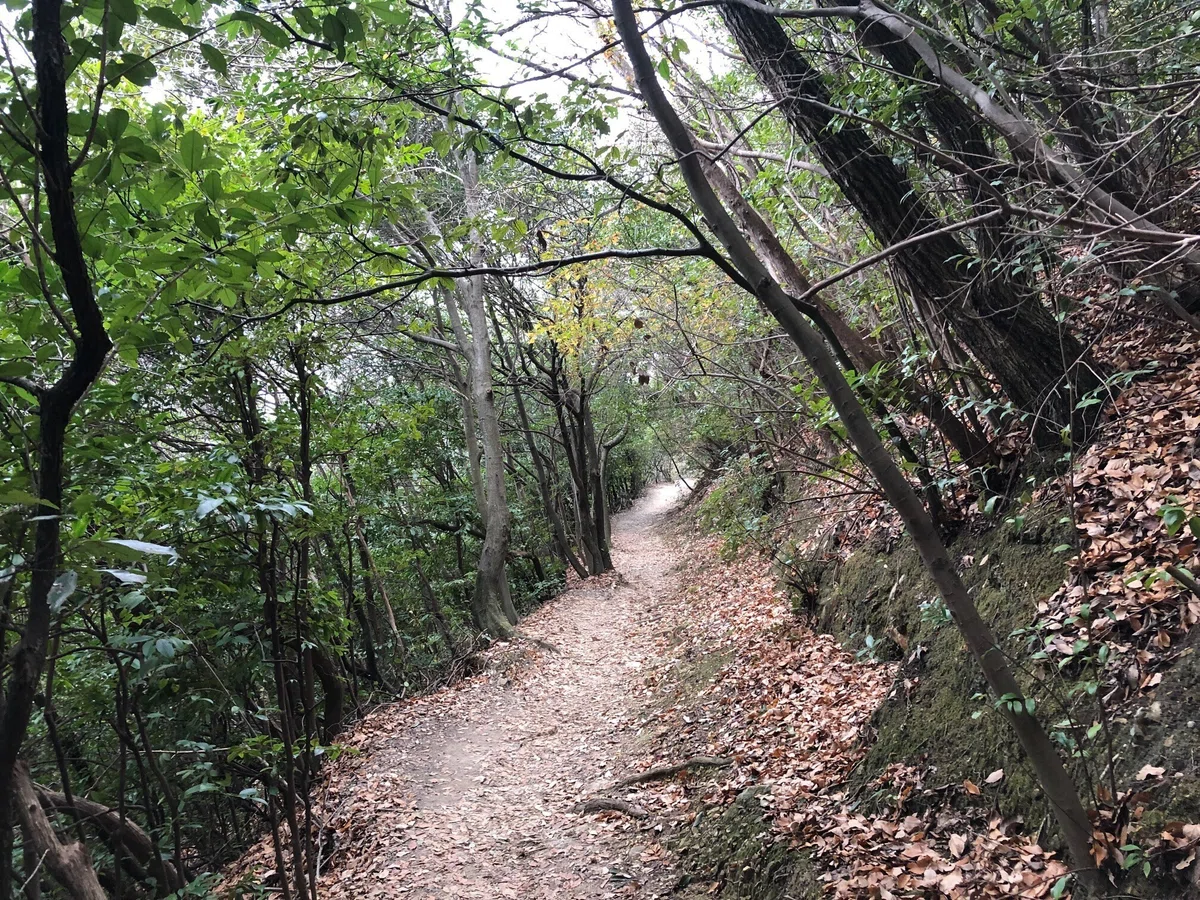 畝傍山の巻き道