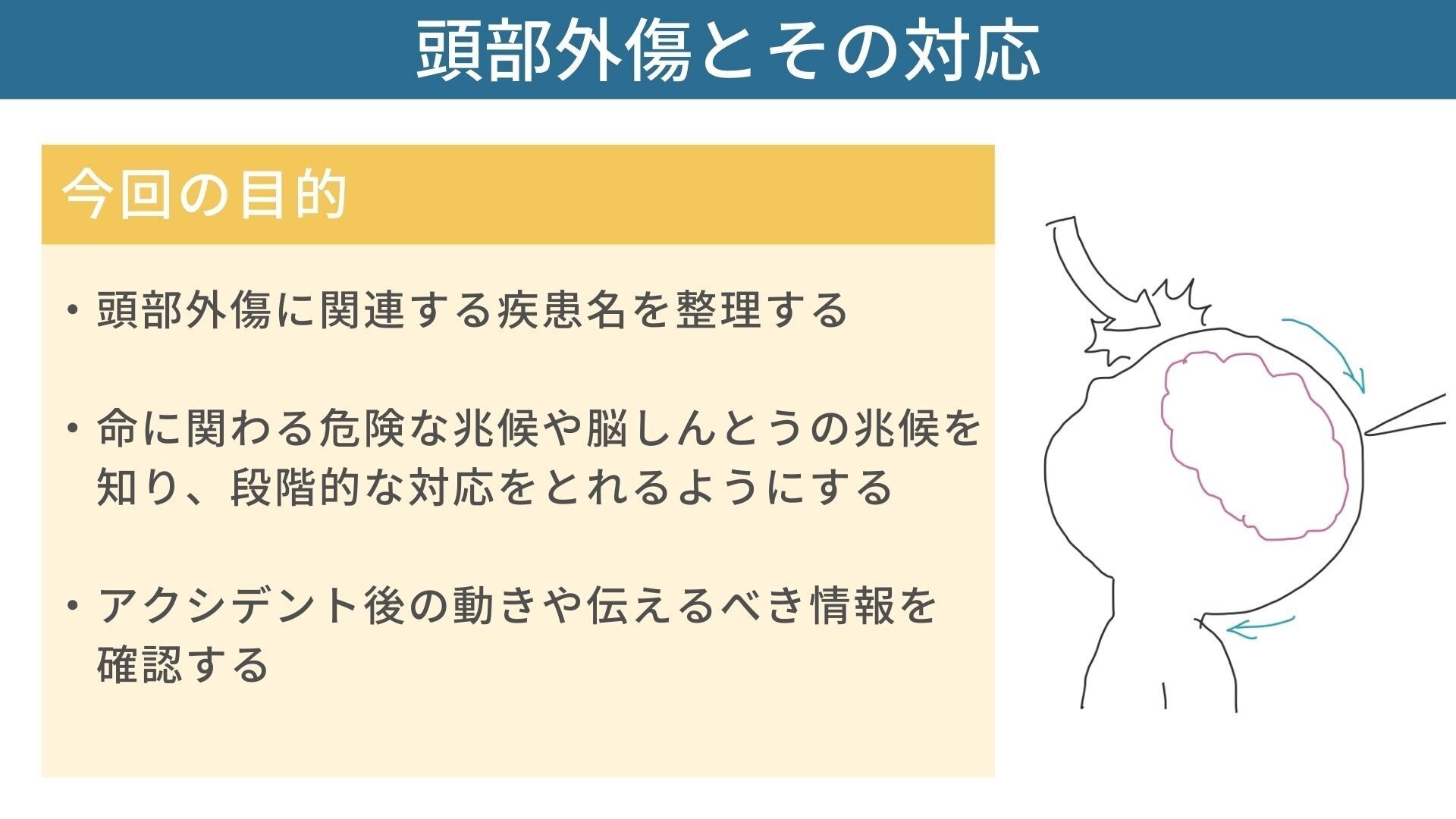 頭部外傷を再確認する｜理学療法メモ