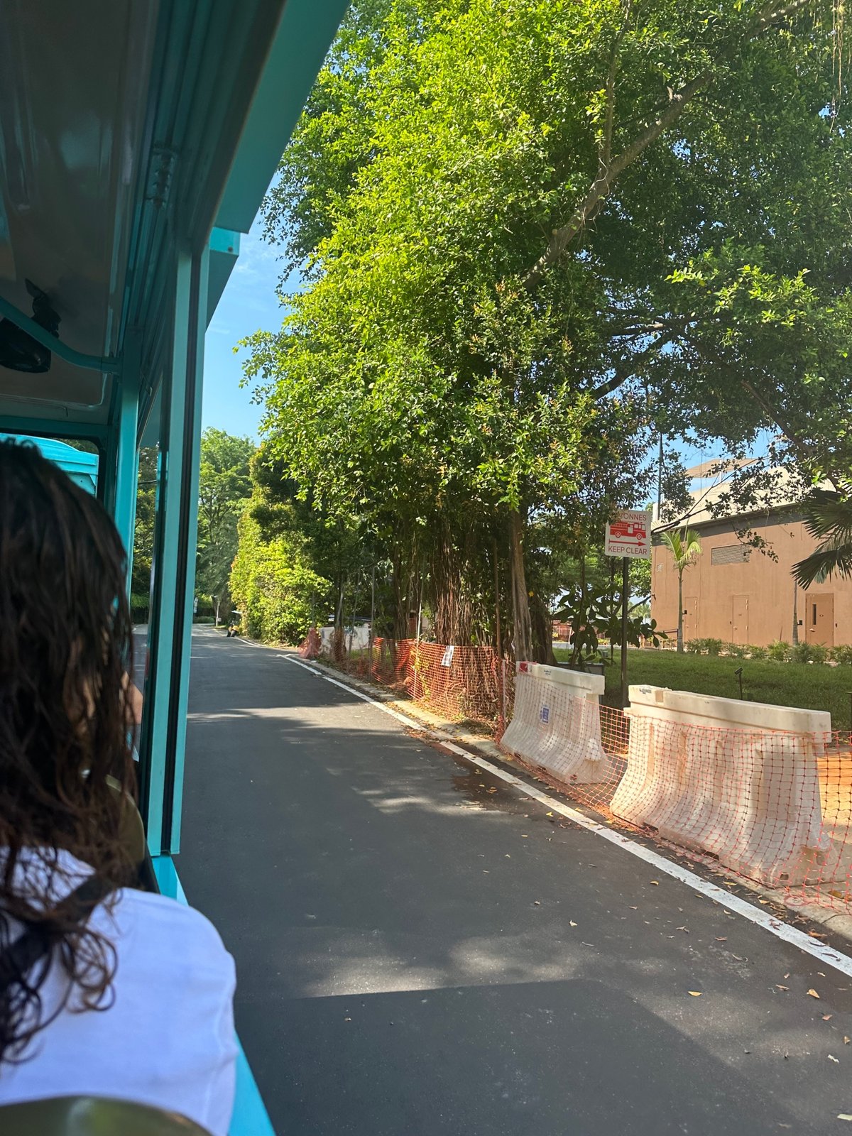 新加坡旅游攻略day4 金沙赌场+圣淘沙小岛+樟宜机场｜进击的骷髅头