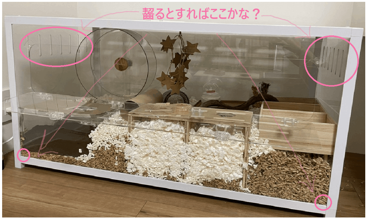 🐹100cmケージについてのQ＆A💡｜ふくまる