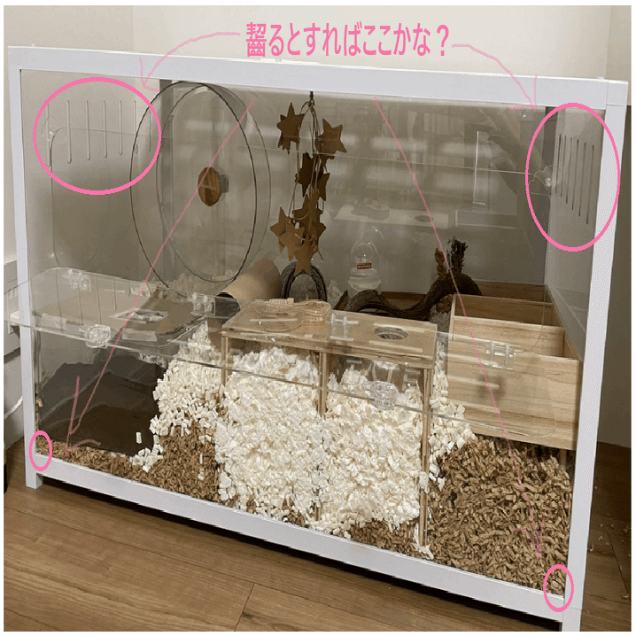 🐹100cmケージについてのQ＆A💡｜ふくまる