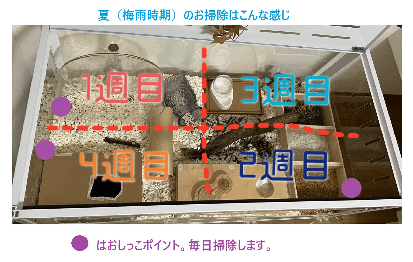 🐹100cmケージについてのQ＆A💡｜ふくまる