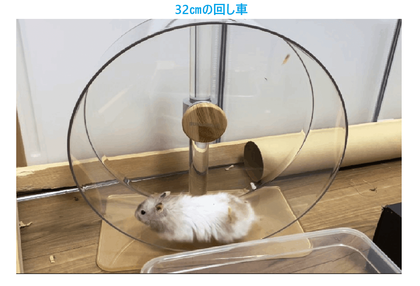 🐹100cmケージについてのQ＆A💡｜ふくまる