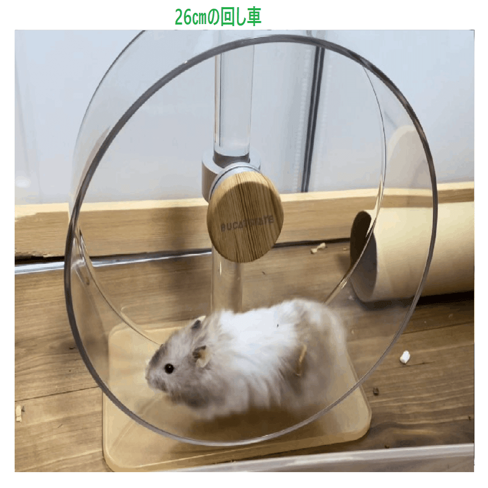 🐹100cmケージについてのQ＆A💡｜ふくまる