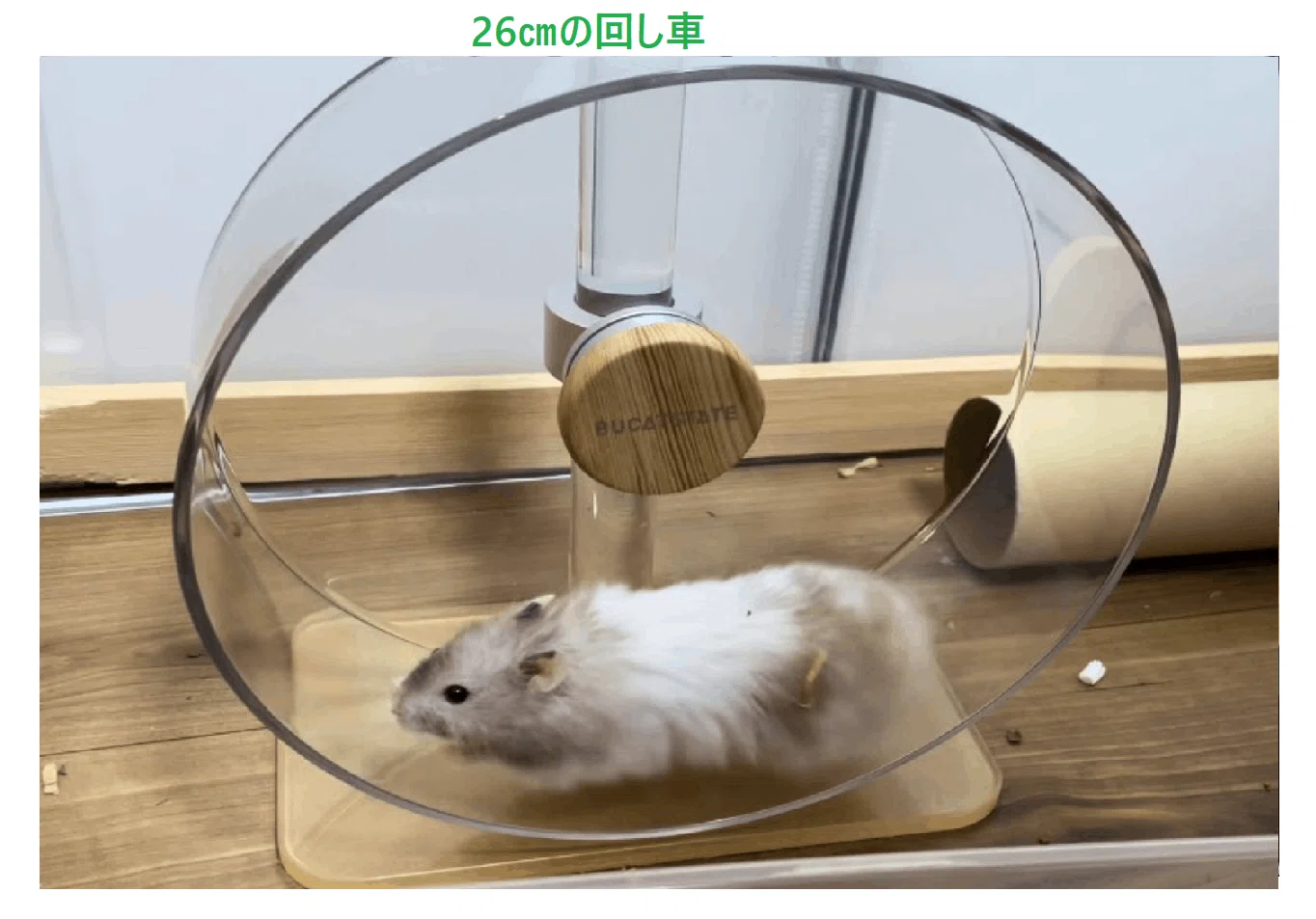 🐹100cmケージについてのQ&A💡|ふくまる 🐹100cmケージについてのQ&A💡|ふくまる