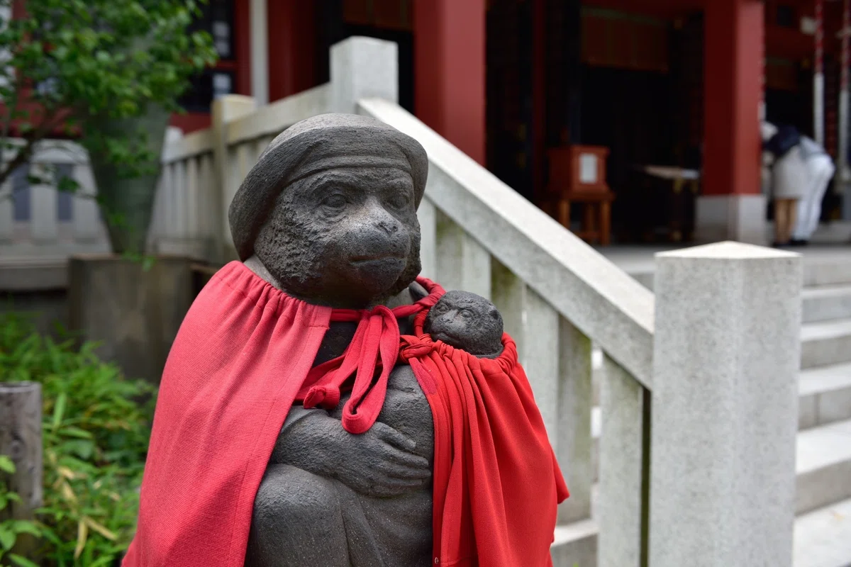 魔除けと方除けの象徴「猿」-『神々の意思を伝える動物たち 〜神使・眷属の世界（第三回）』｜久保多渓心