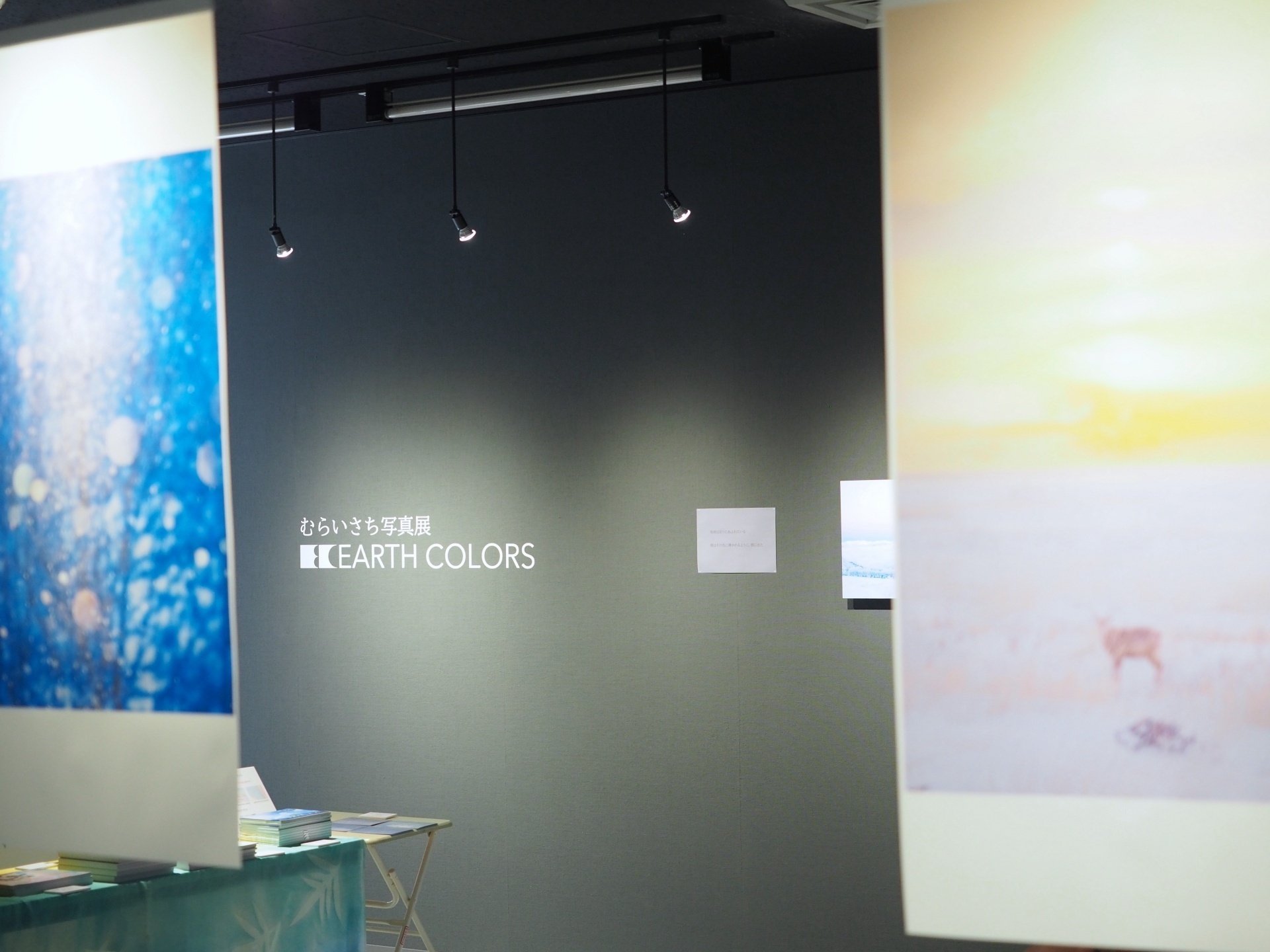 むらいさち写真展「EARTH COLORS」インタビュー｜OM SYSTEM