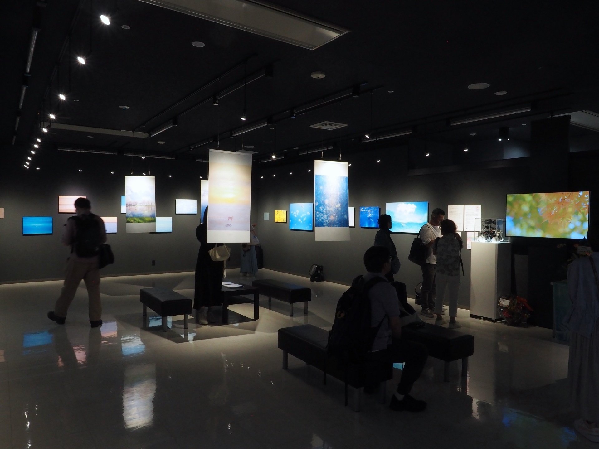 「EARTH COLORS」むらいさち写真集 水中写真家・むらいさち『EARTH COLORS』写真展開催
