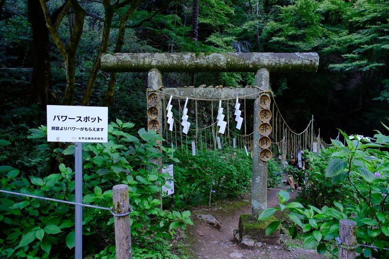 太平山神社 銭洗弁財天 窟神社 鳥居