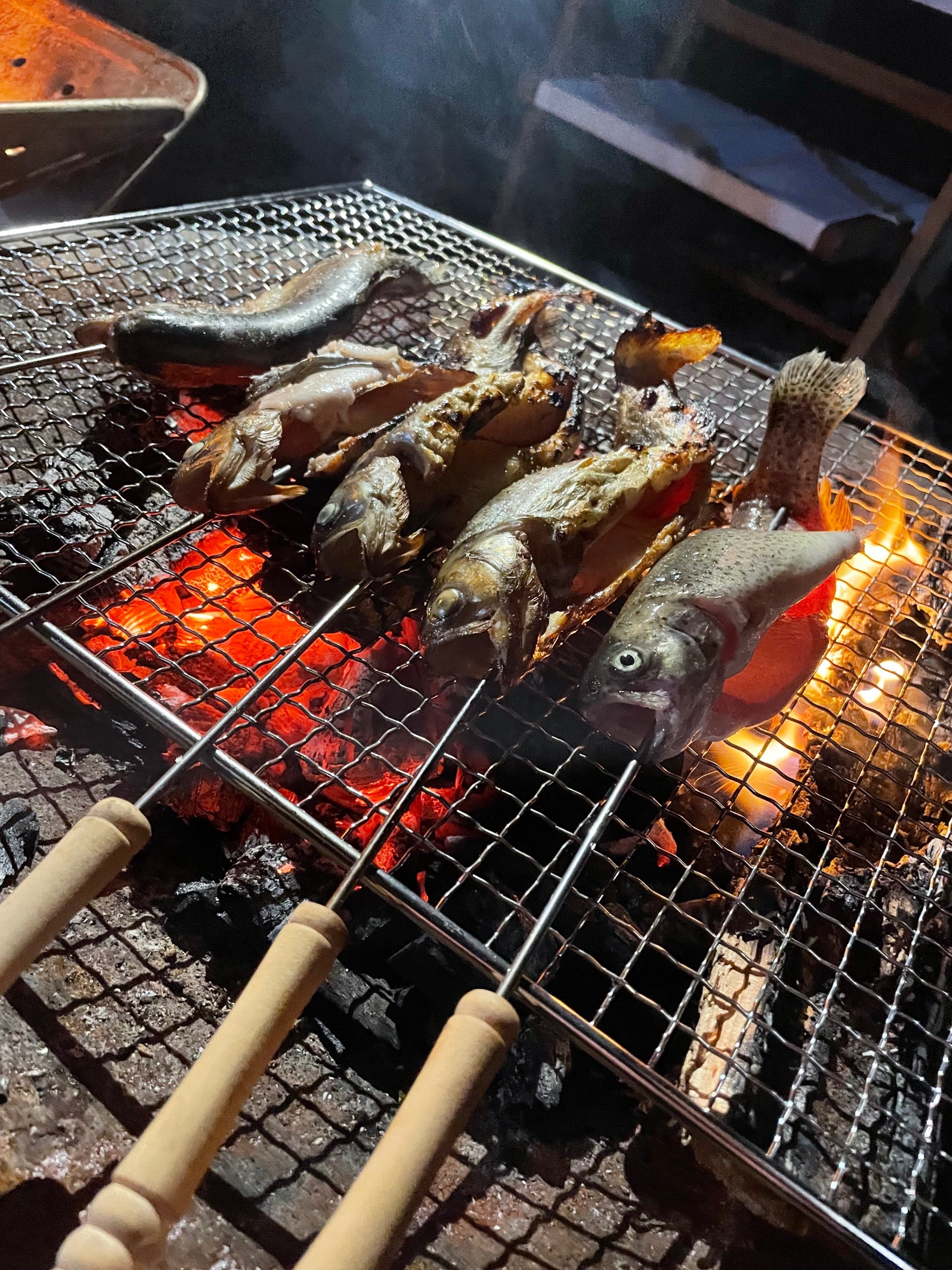 キャンプヒル camphill 魚釣り 湖畔で釣りができます！汽水湖ならではの魚種が楽しいです