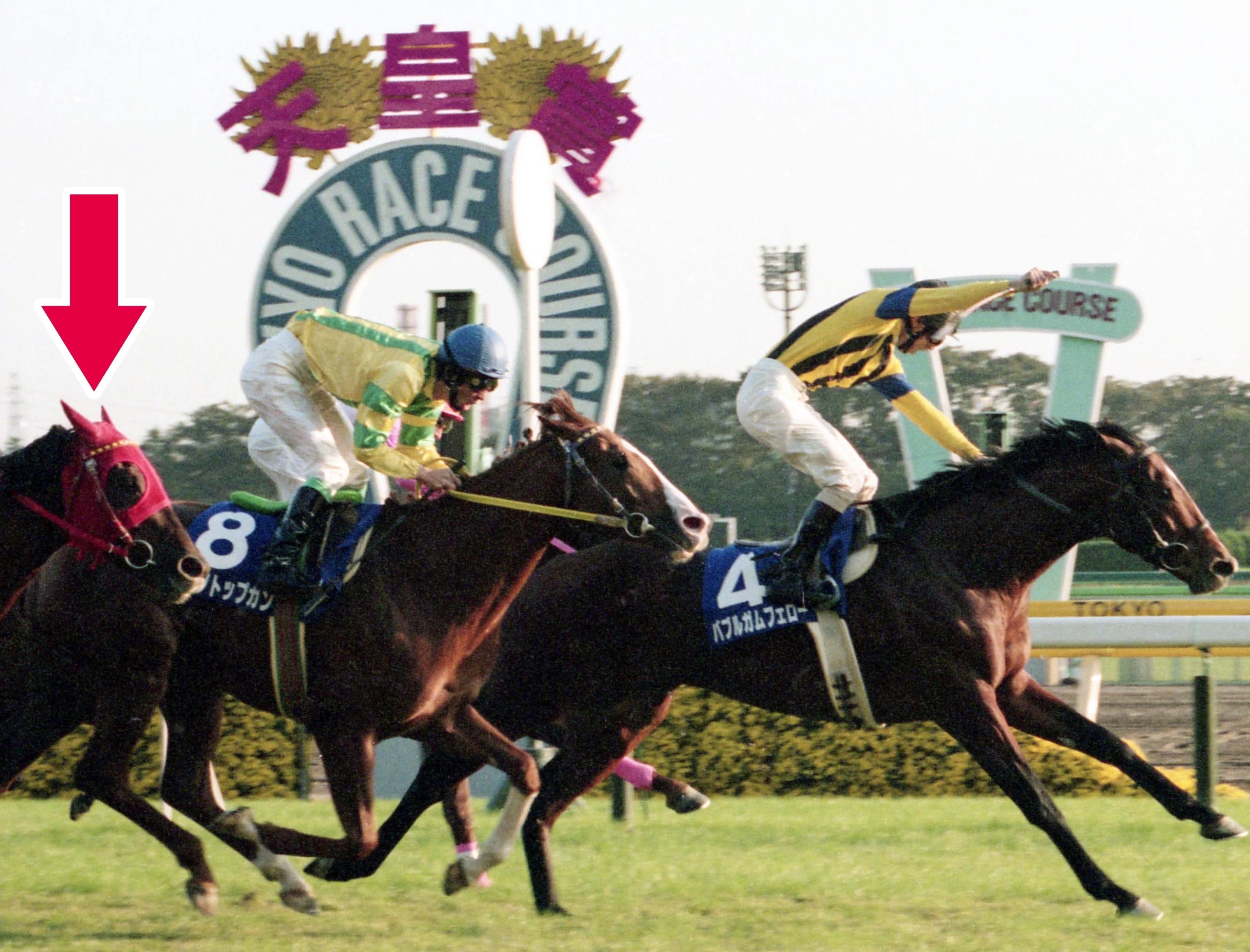 マベちん実装！マーベラスサンデーの連勝・挫折・悲願を「東スポ」で
