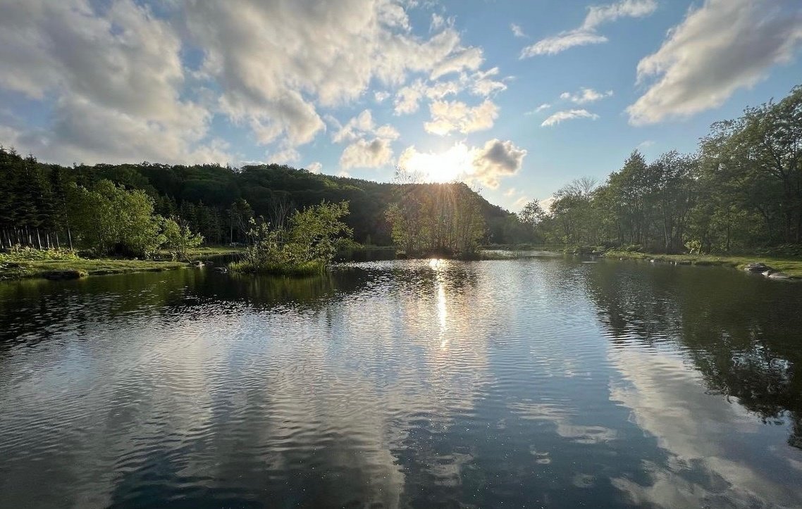 GWにもおすすめ！釣り堀併設キャンプサイトの魅力とおすすめのキャンプ