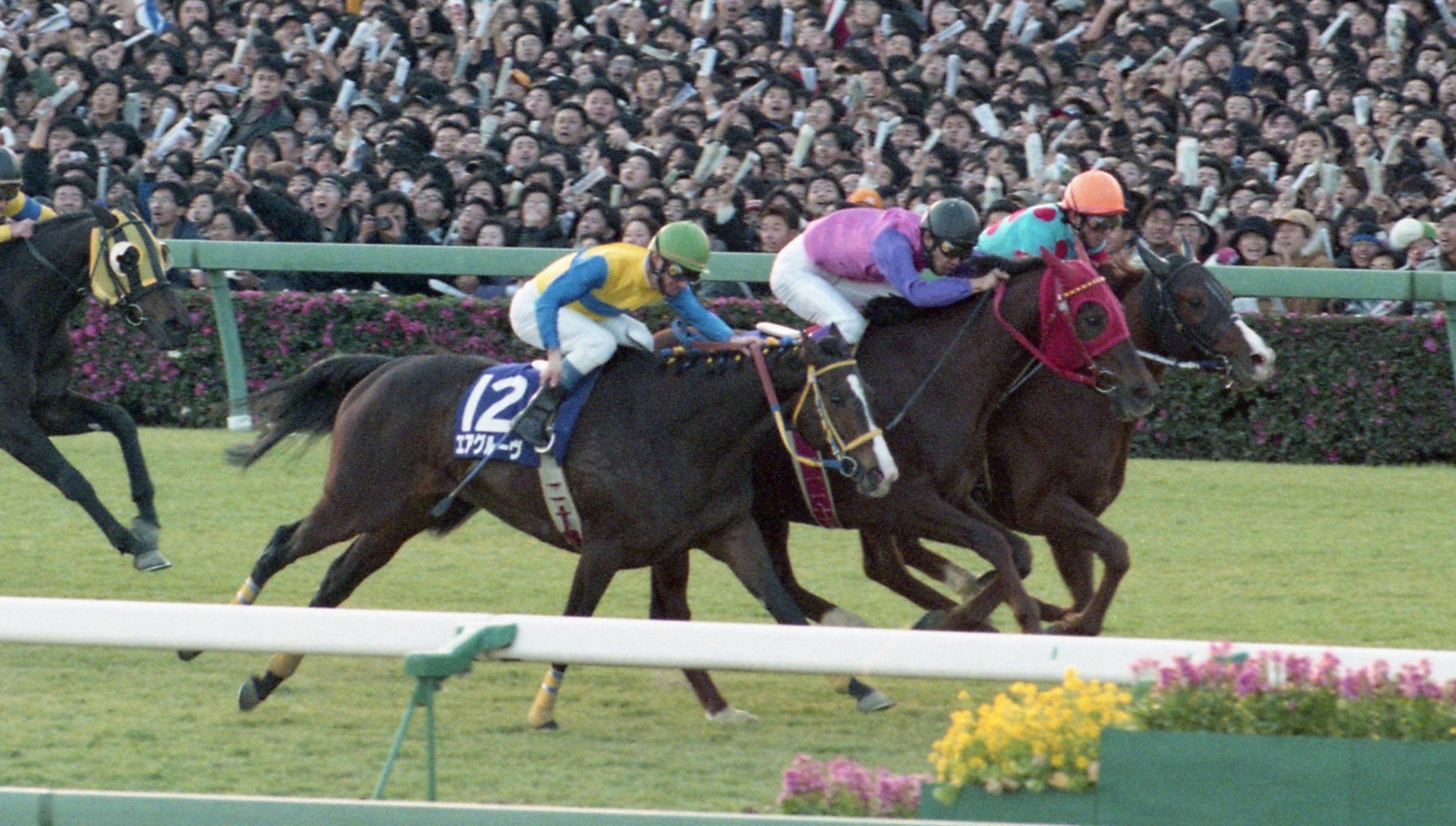 競馬 JRA レープロ980823札幌記念 エアグルーヴ/他場