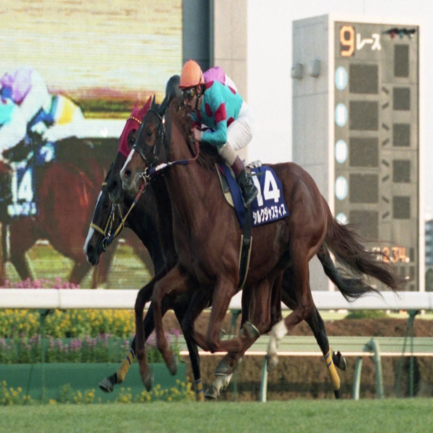 マベちん実装！マーベラスサンデーの連勝・挫折・悲願を「東スポ」で 