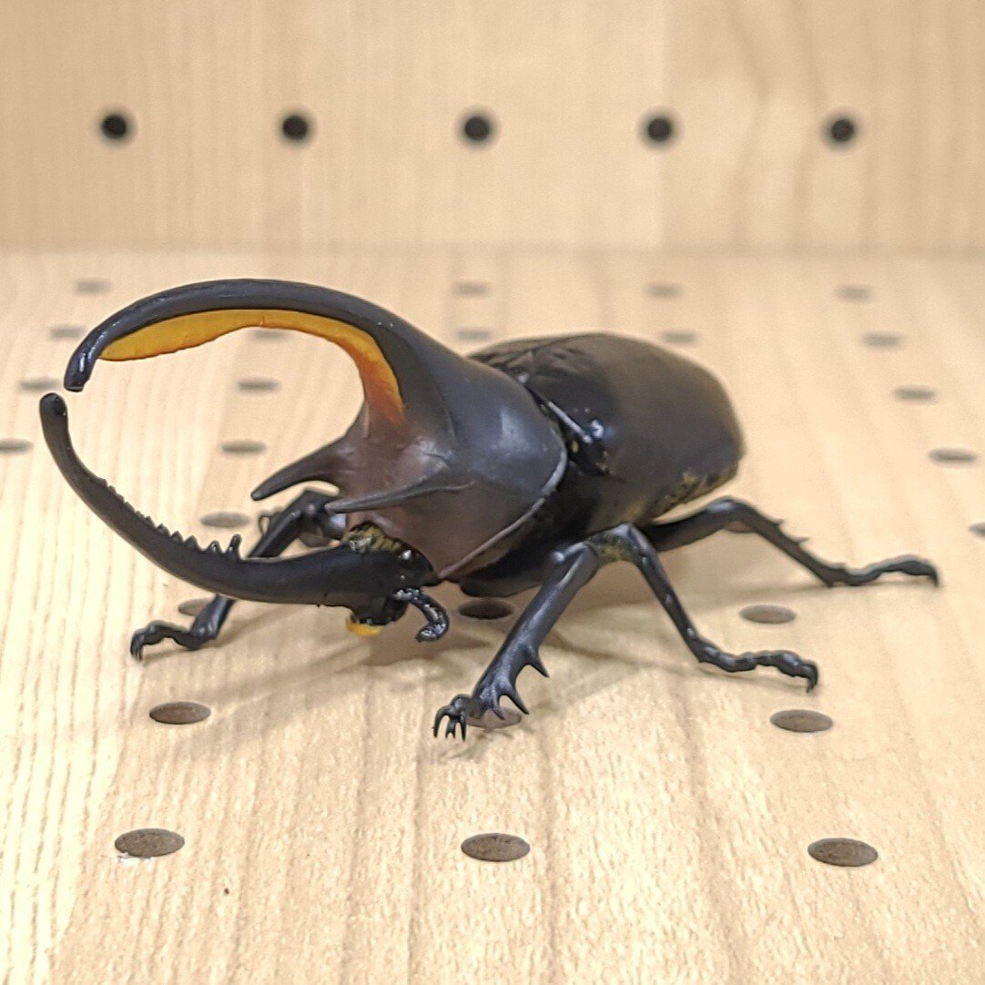 昆虫大図鑑、エラフスホソアカクワガタ、ギラファ等、ヘラクレス