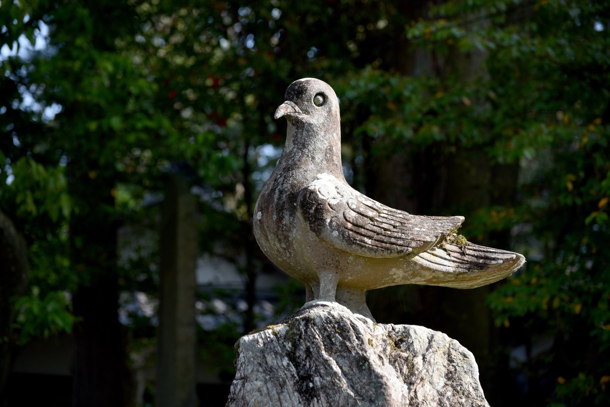 吉兆の到来をあらわす、八幡神の使い「鳩」-『神々の意思を